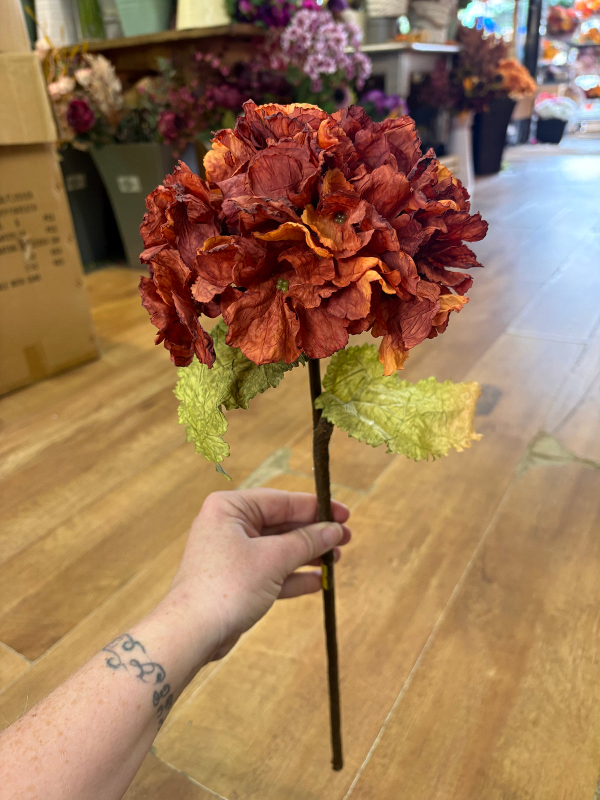Dried inspired Russet hydrangea stem