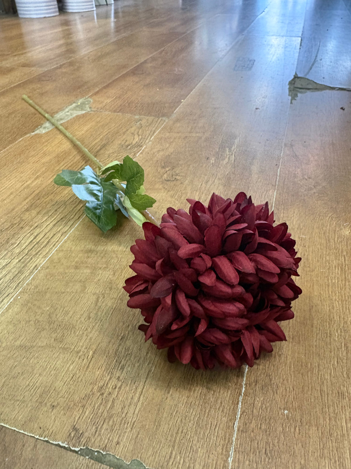 Long stem deep red Pom Pom
