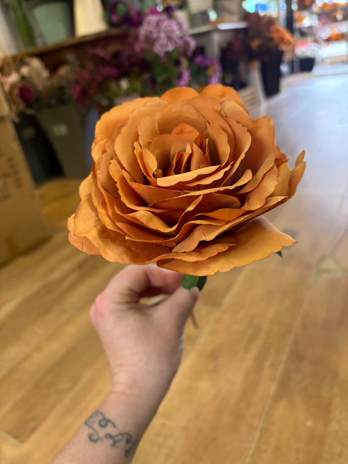 Medium length burnt orange Tudor rose