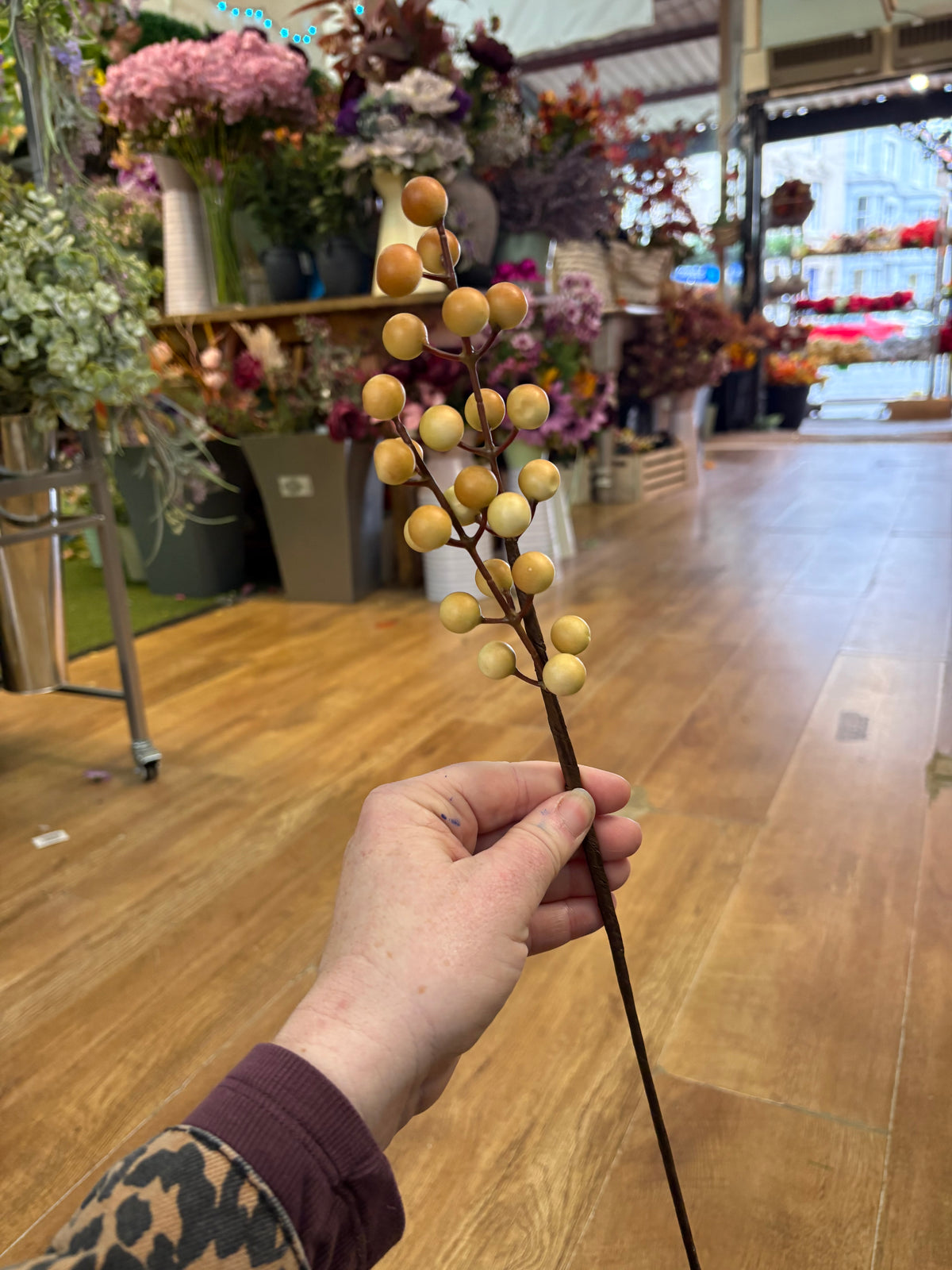 Coffee and cream long stem berry pick