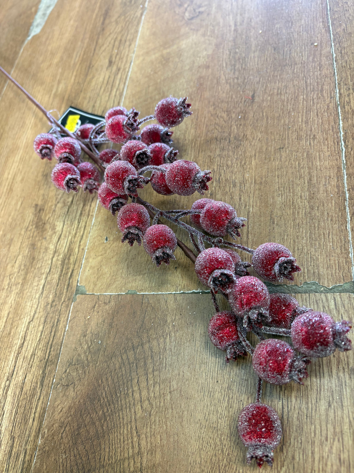 Long stem frosted rose hip spray