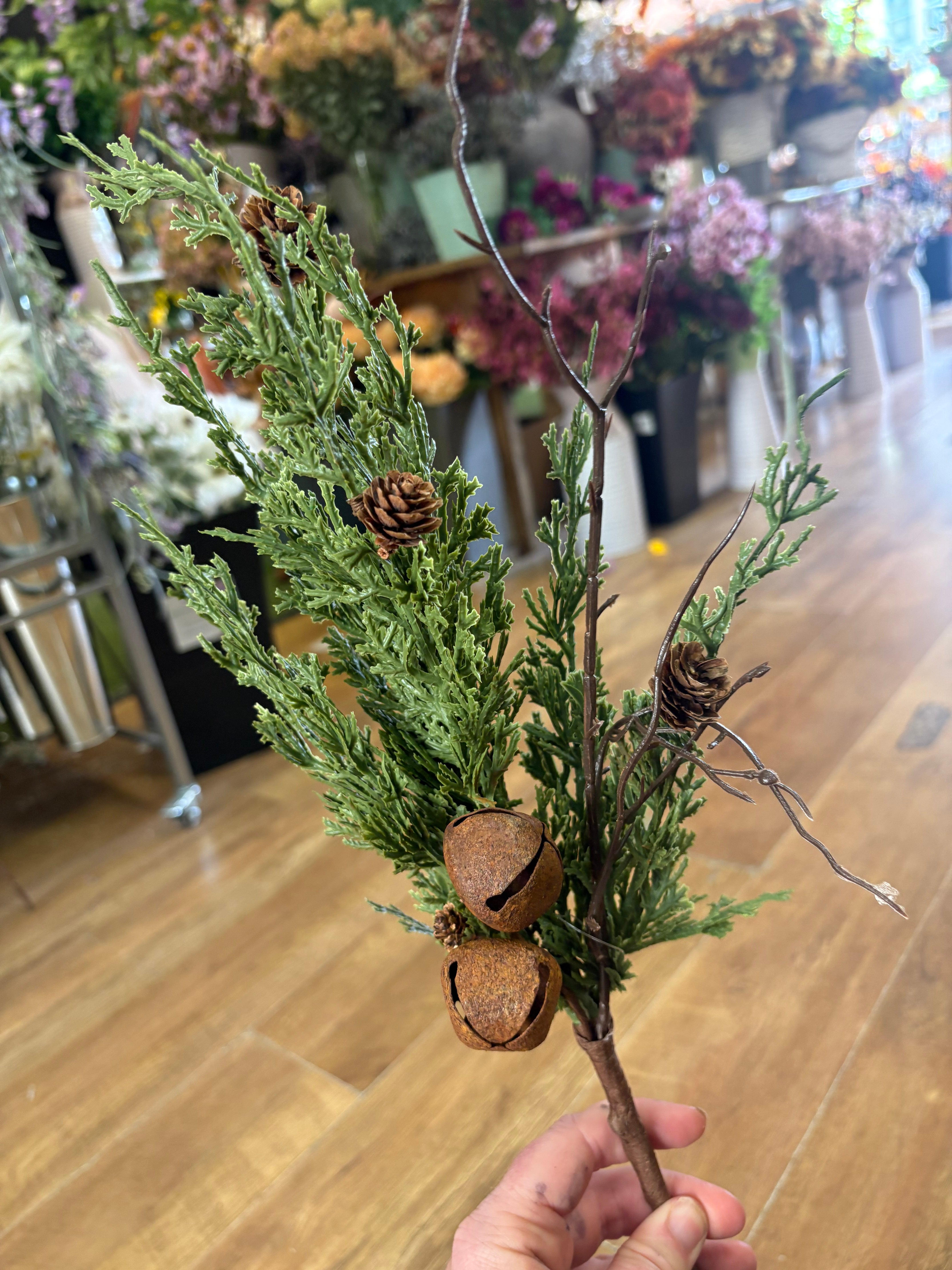 55cm Lawson Cypress and Bells