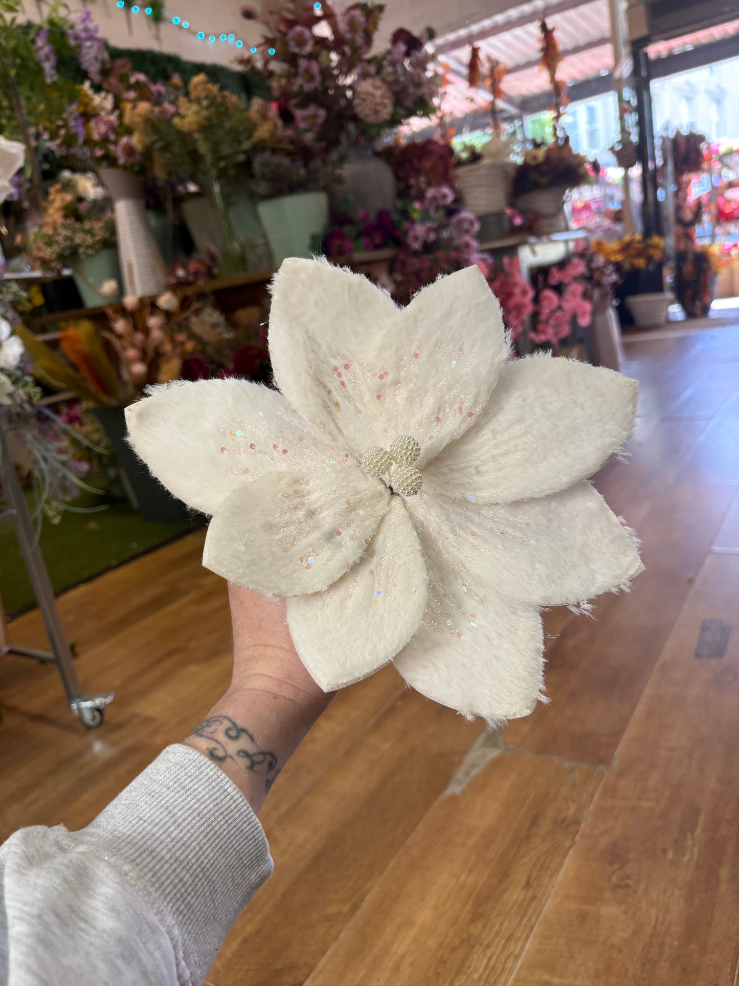 Fluffy white glittered single poinsettia