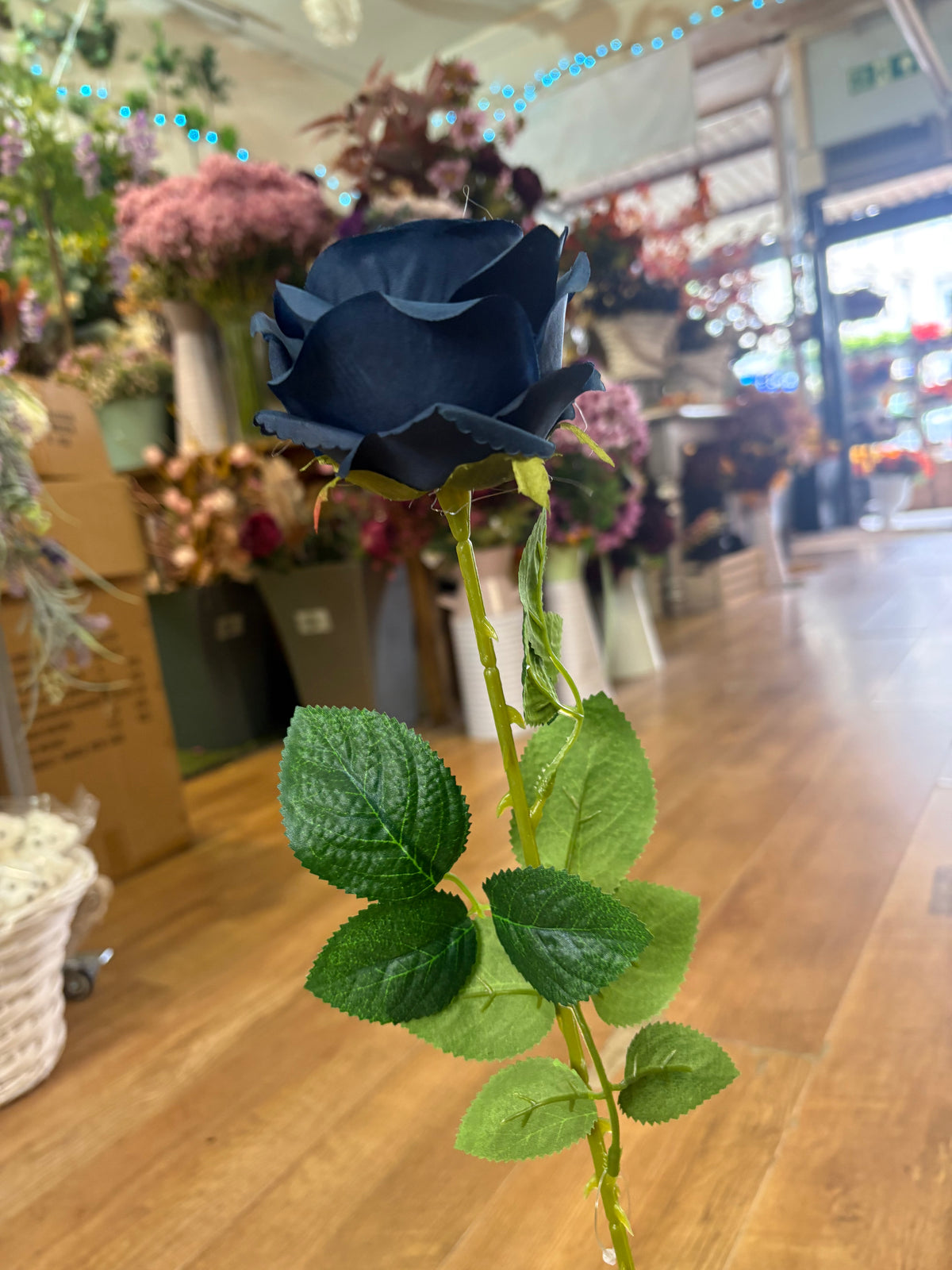Single Navy harper rose