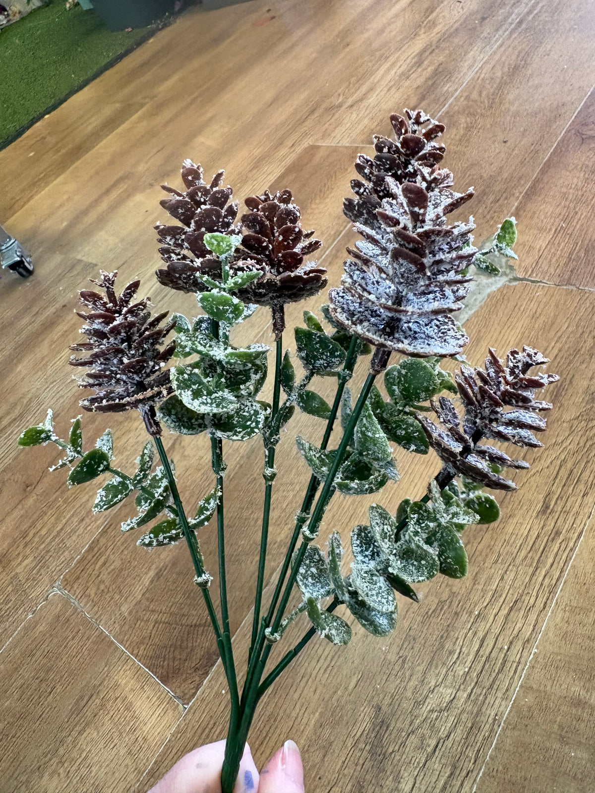 Snowy cones and eucalyptus bunch