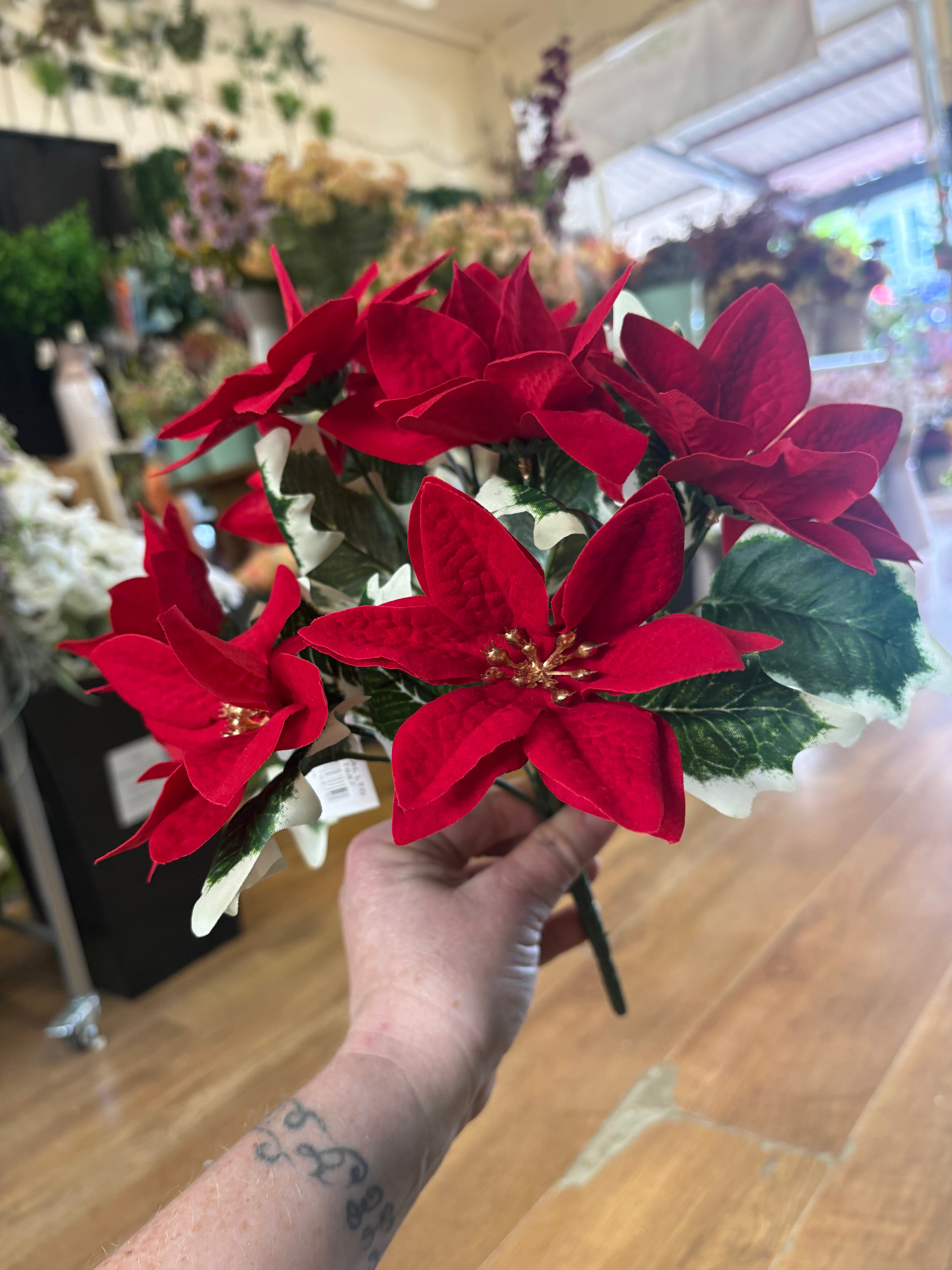 Red velvet poinsettia bunch