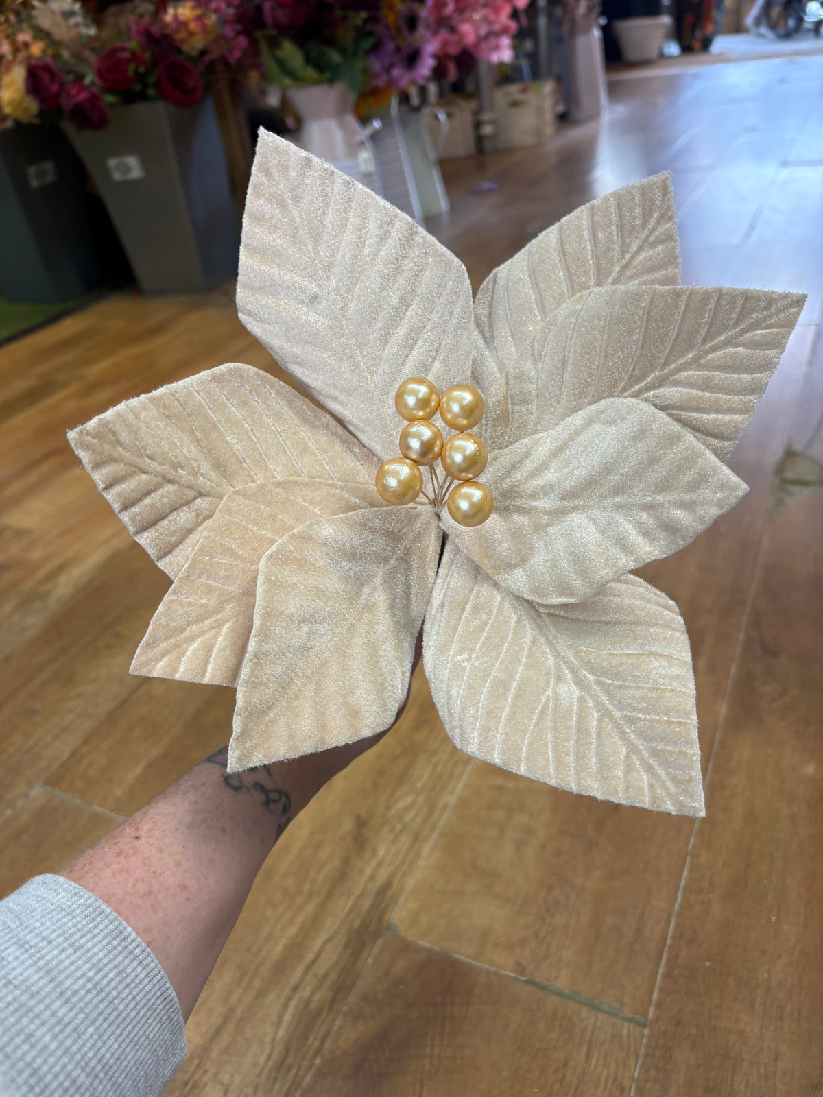 Short stem nude velvet single poinsettia