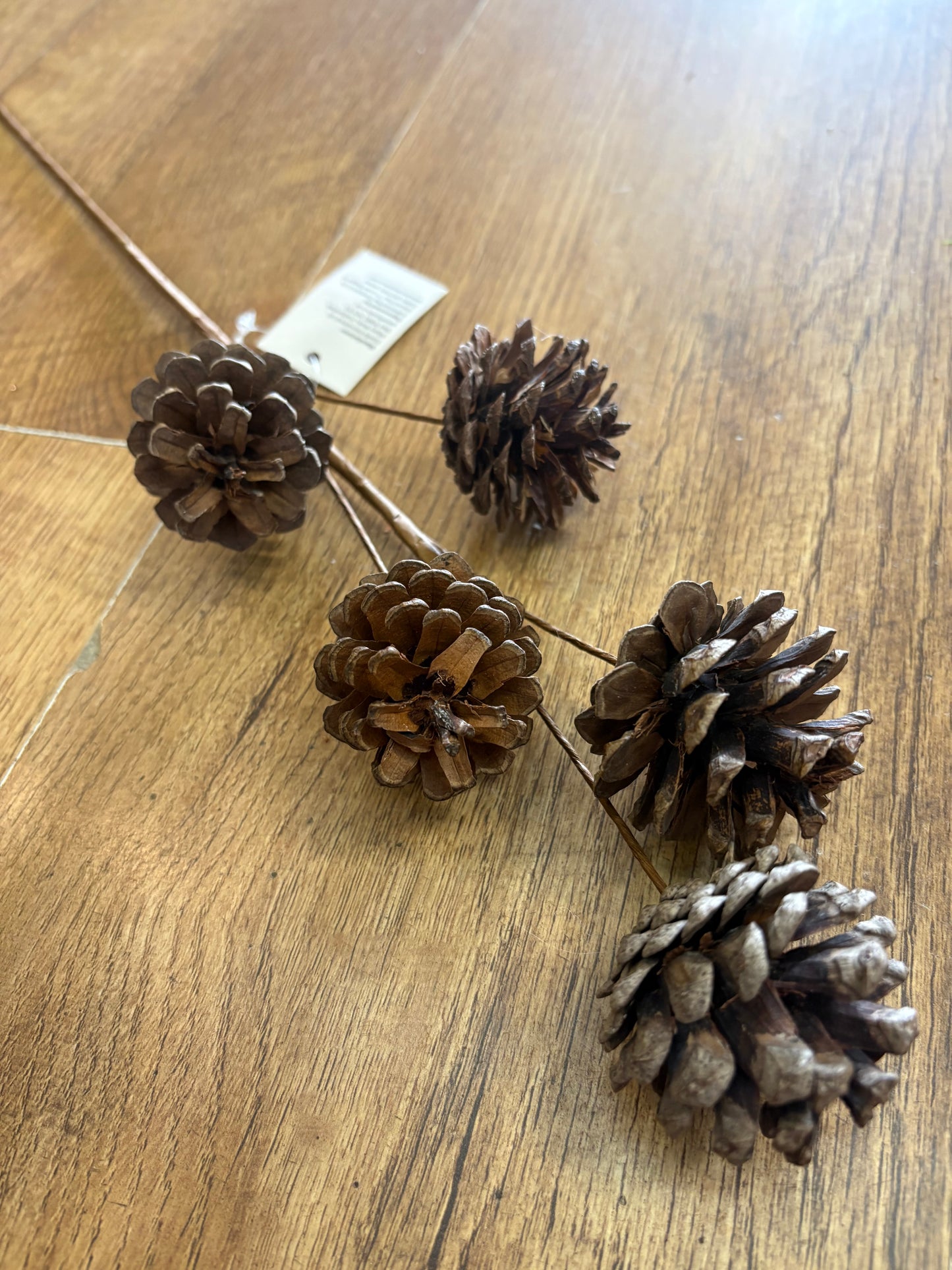 Medium length natural cone stem