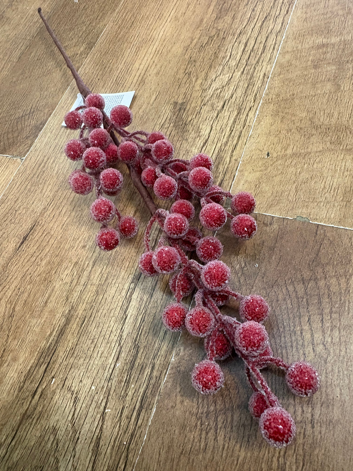 Mediums length frosted darker red berry stem