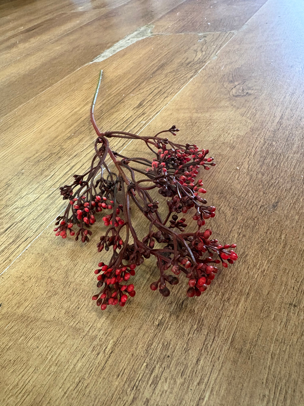 Mixed reds felicity bud pick