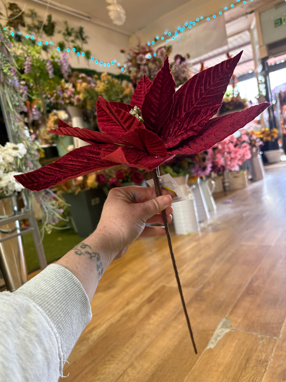 Large burgundy velvet single poinsettia