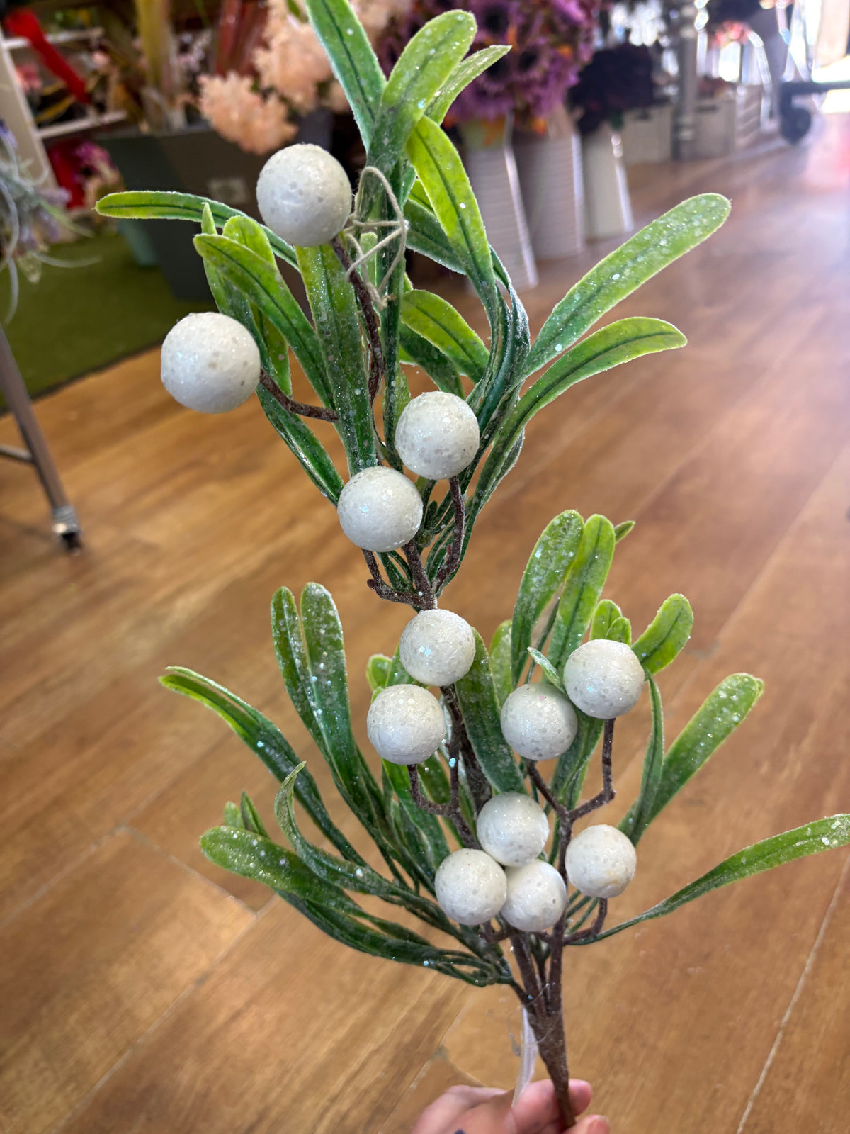 Long stem frosted large berries mistletoe stem
