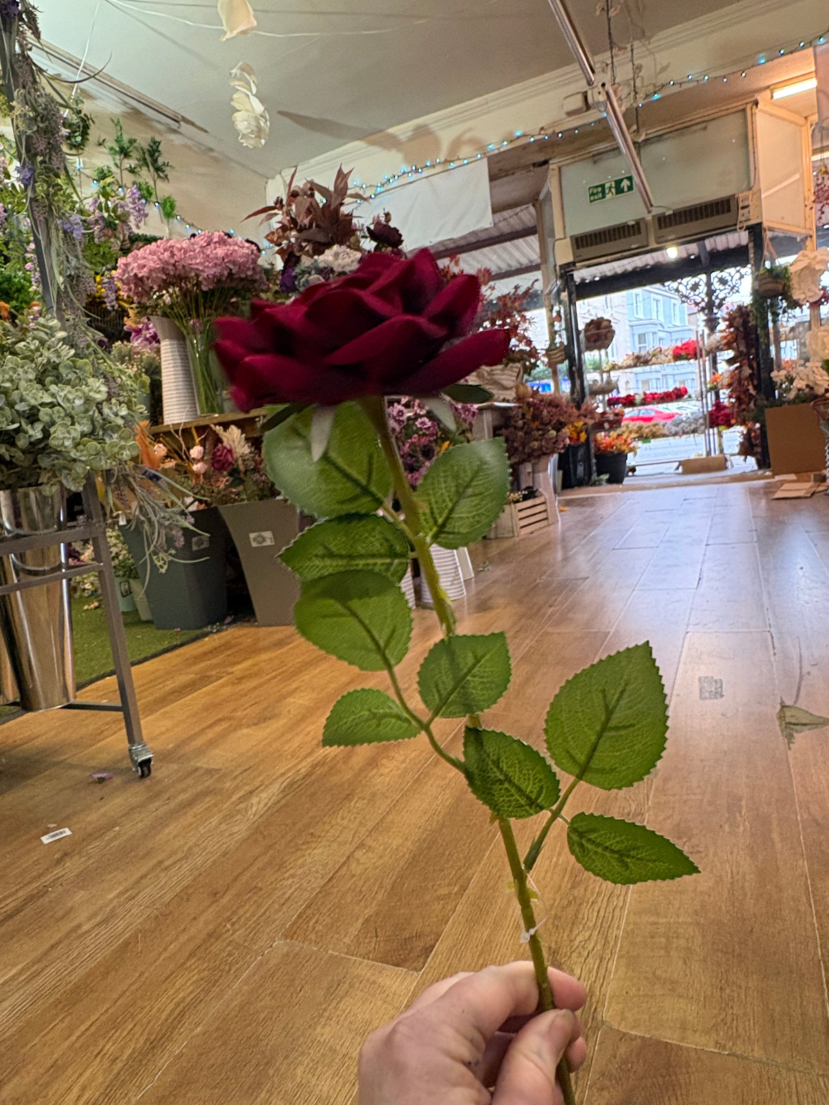 Dark red velvet single rose