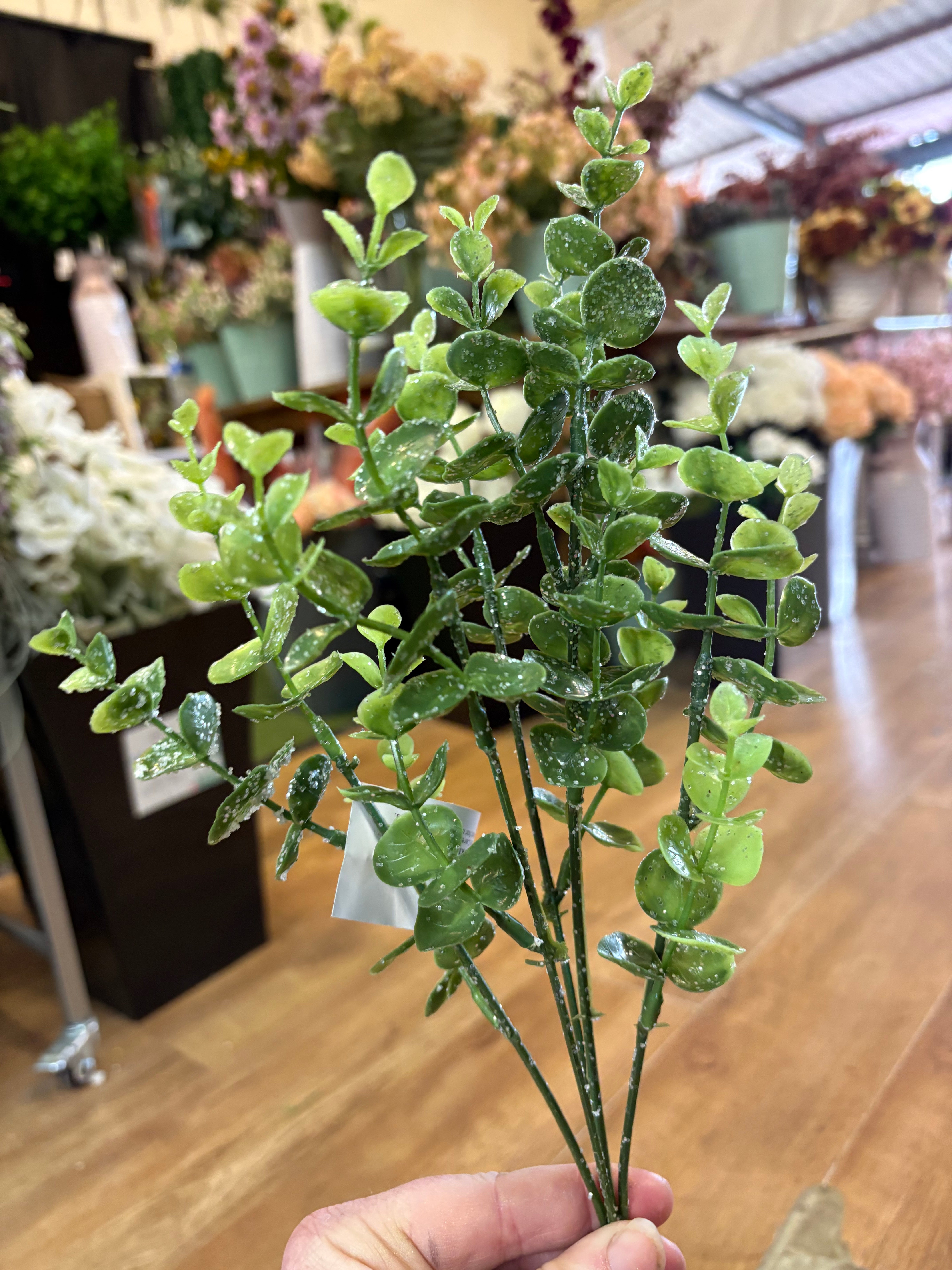 Slightly glittered eucalyptus bunch