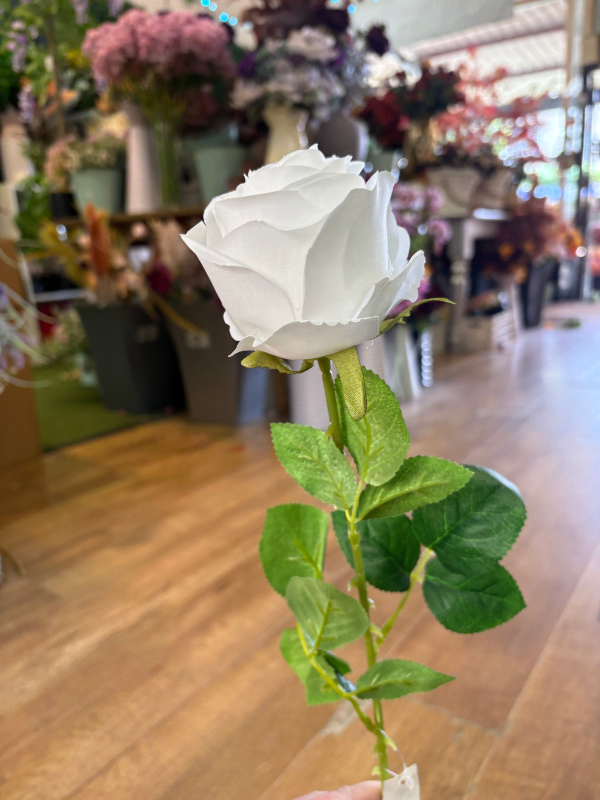 Single white harper rose