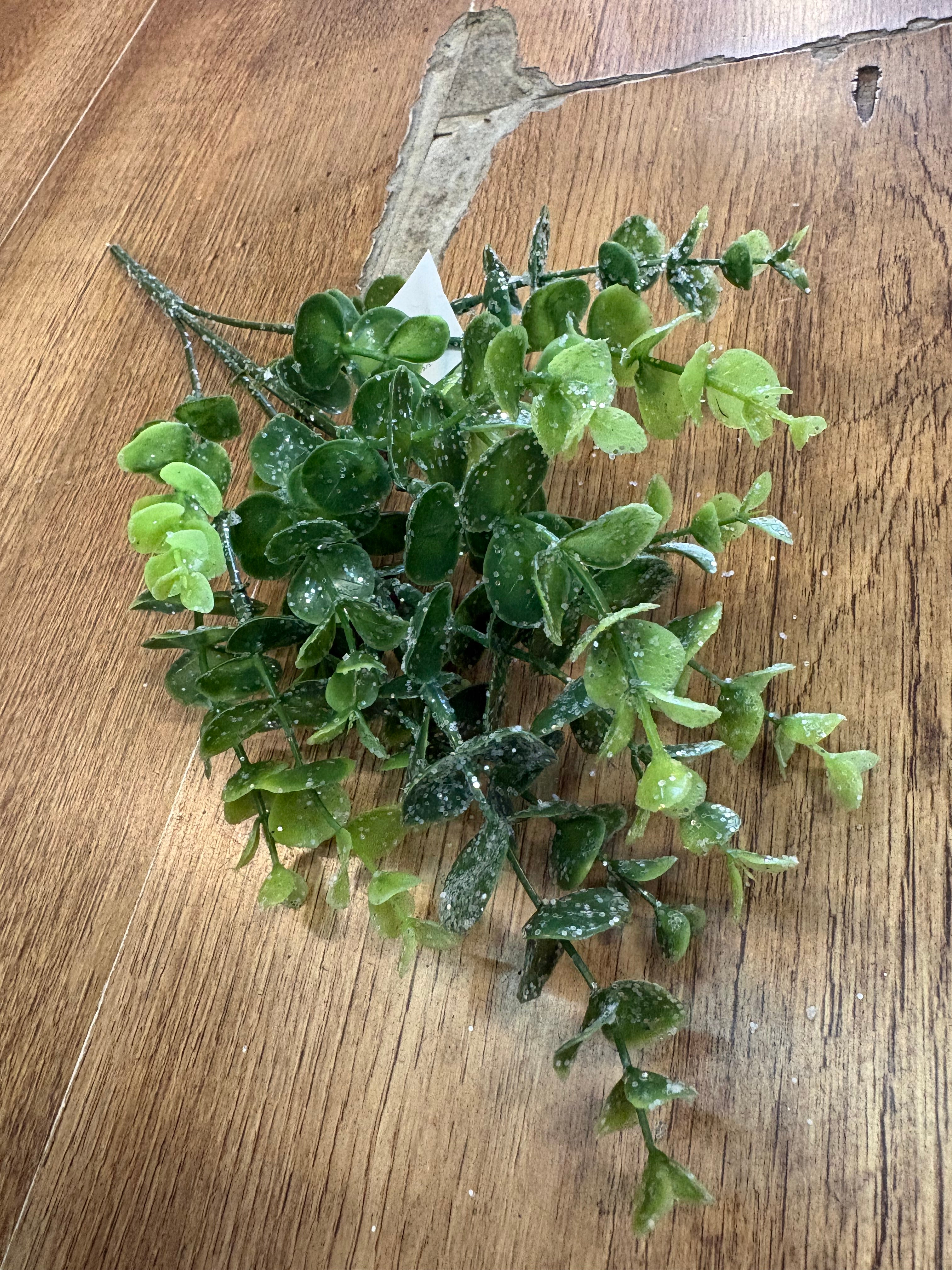 Slightly glittered eucalyptus bunch