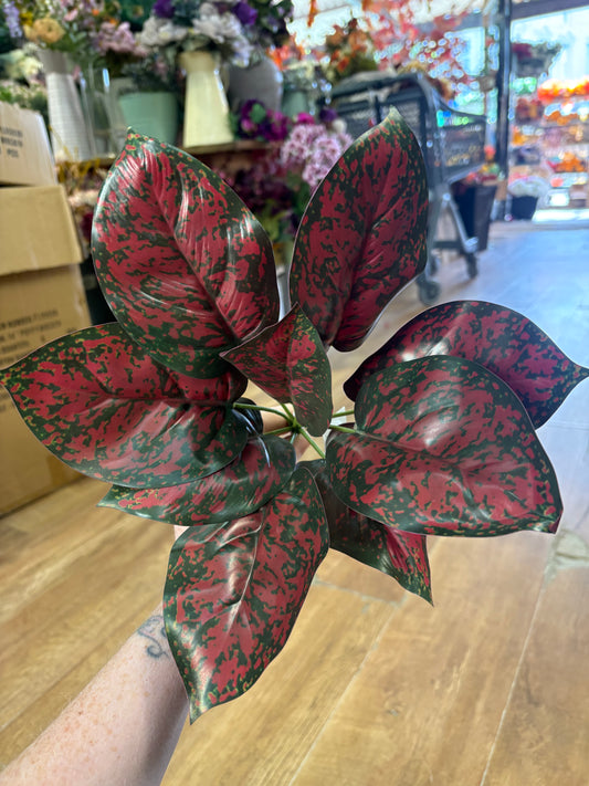 Burgundy and green large leaf bunch