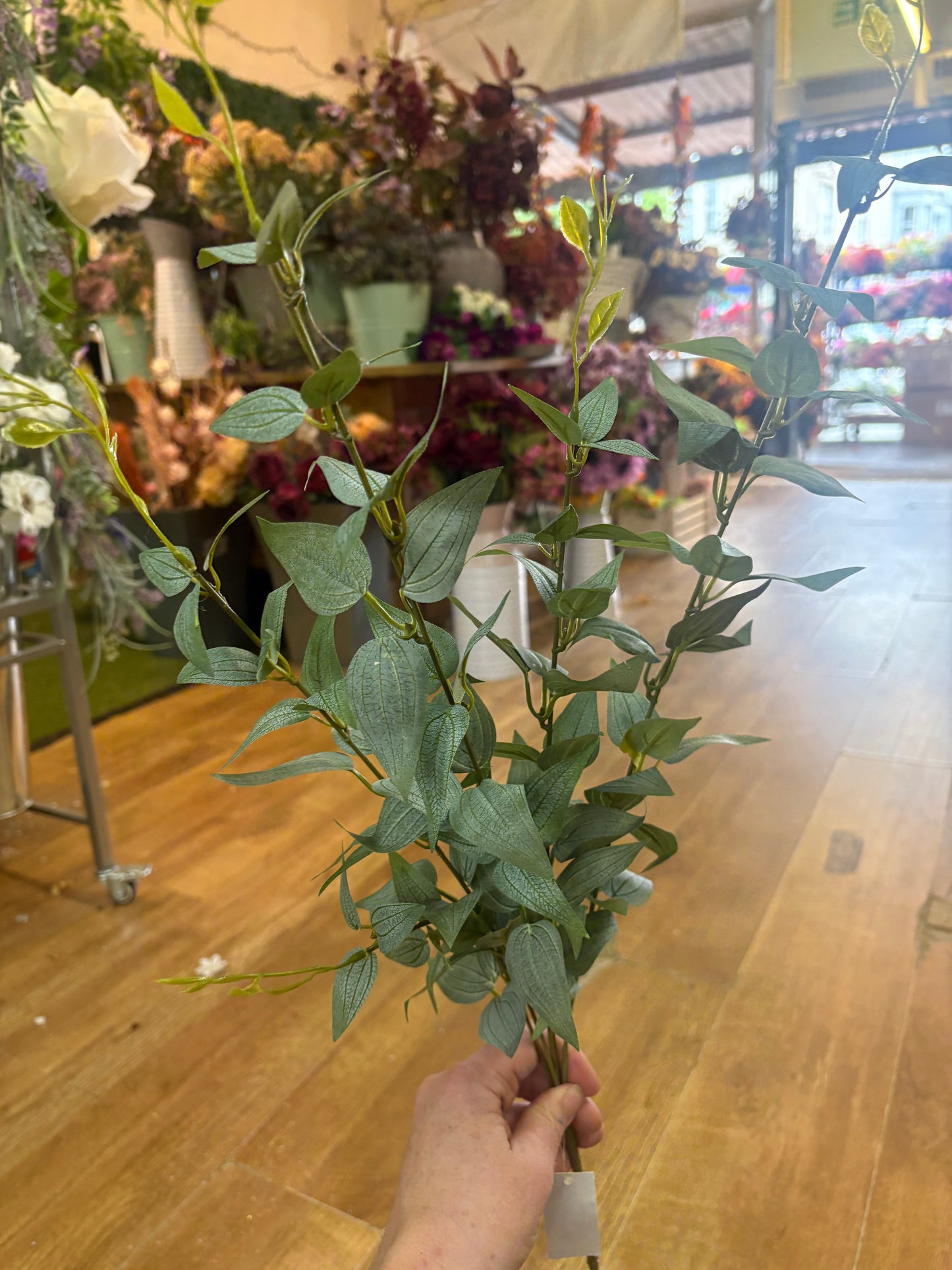 Long stem natural green Italian ruscus spray