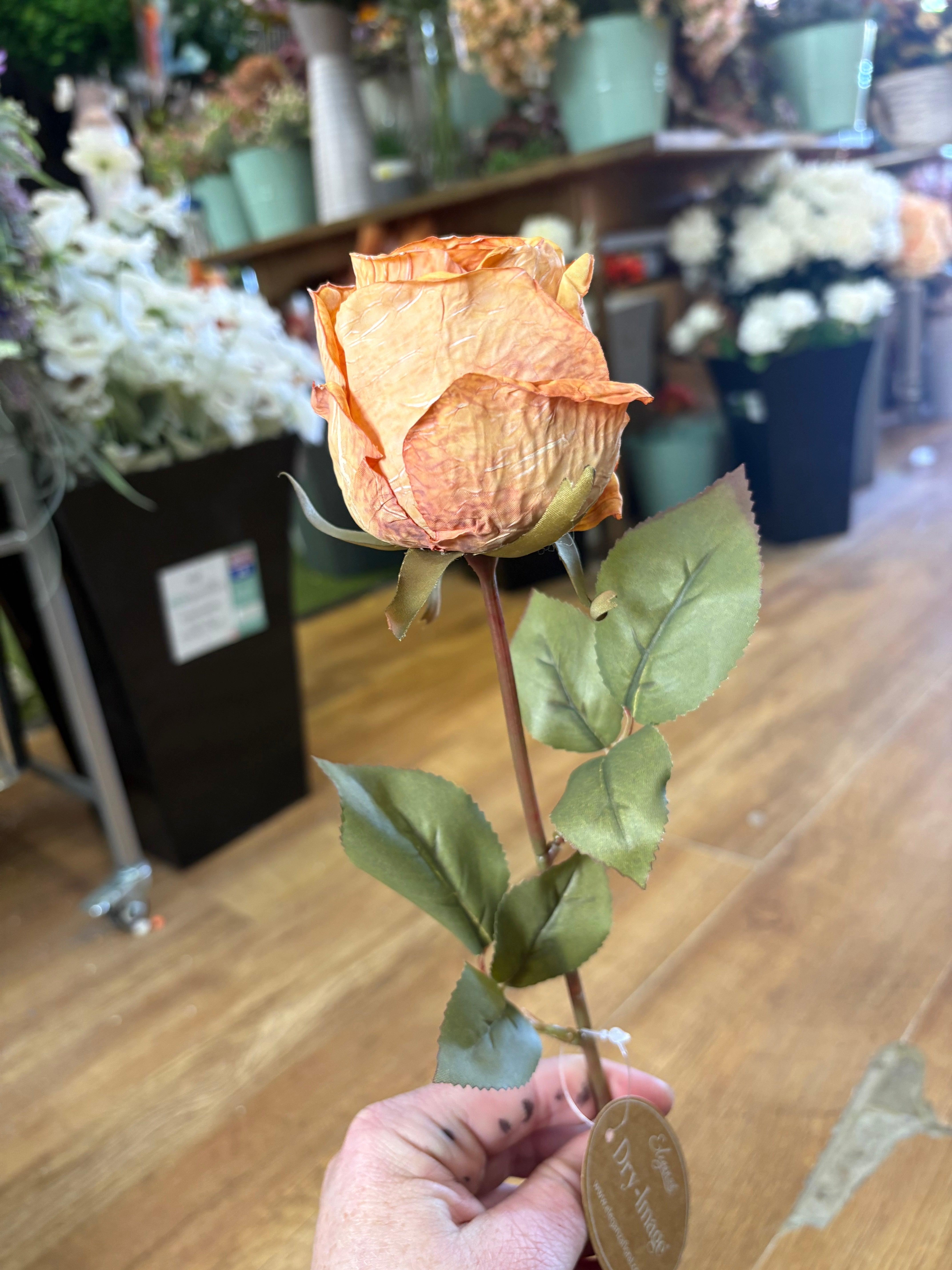 Dried inspired Honey Sunset single rose