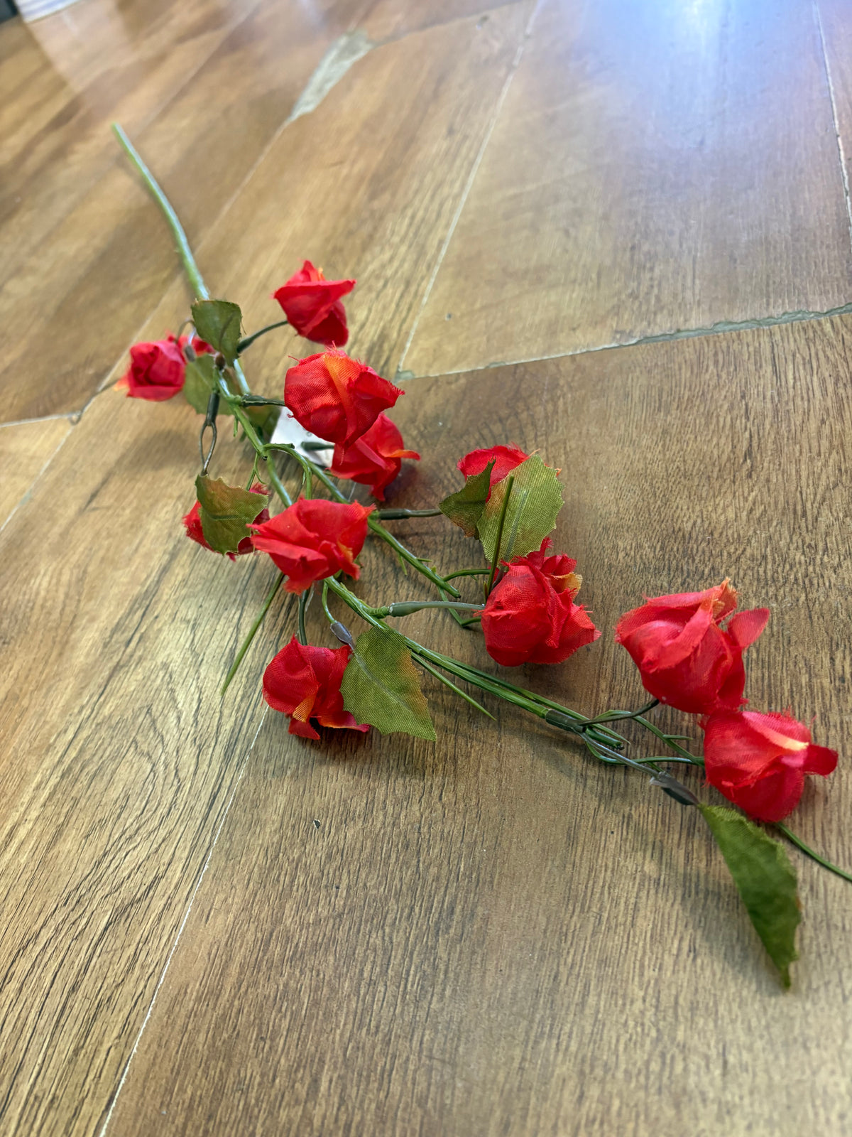 Long stem red Chinese lantern
