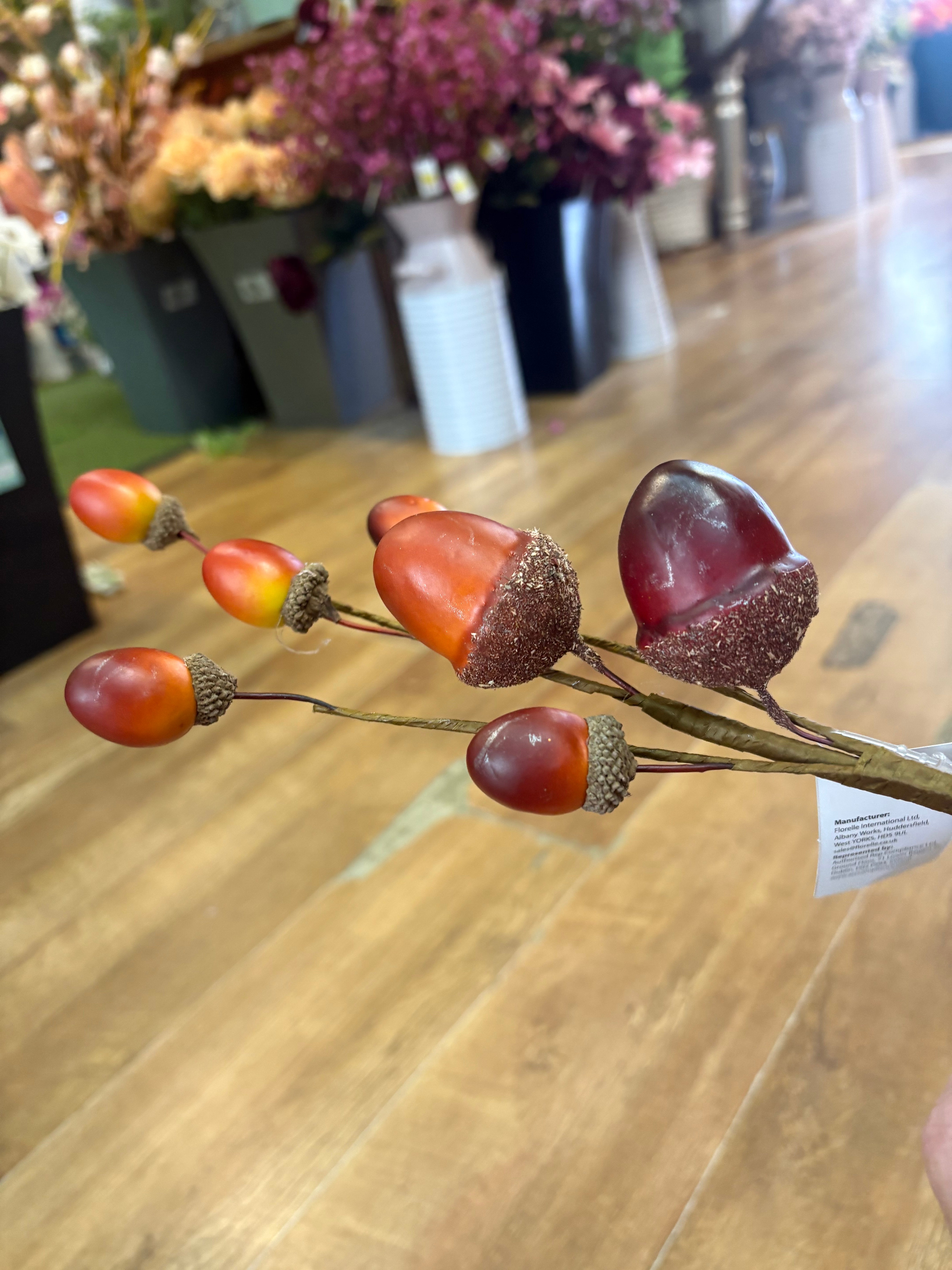 Acorn branch