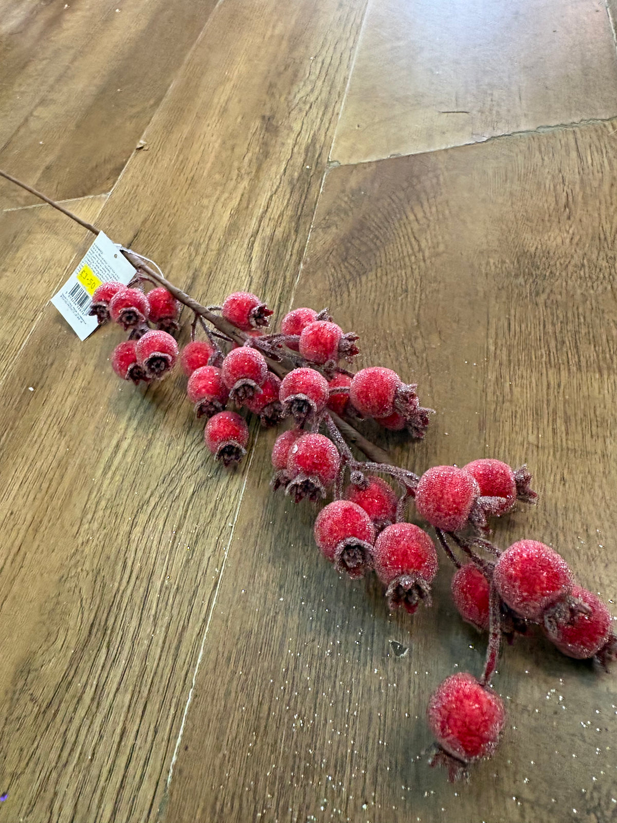 Long stem frosted rose hip stem