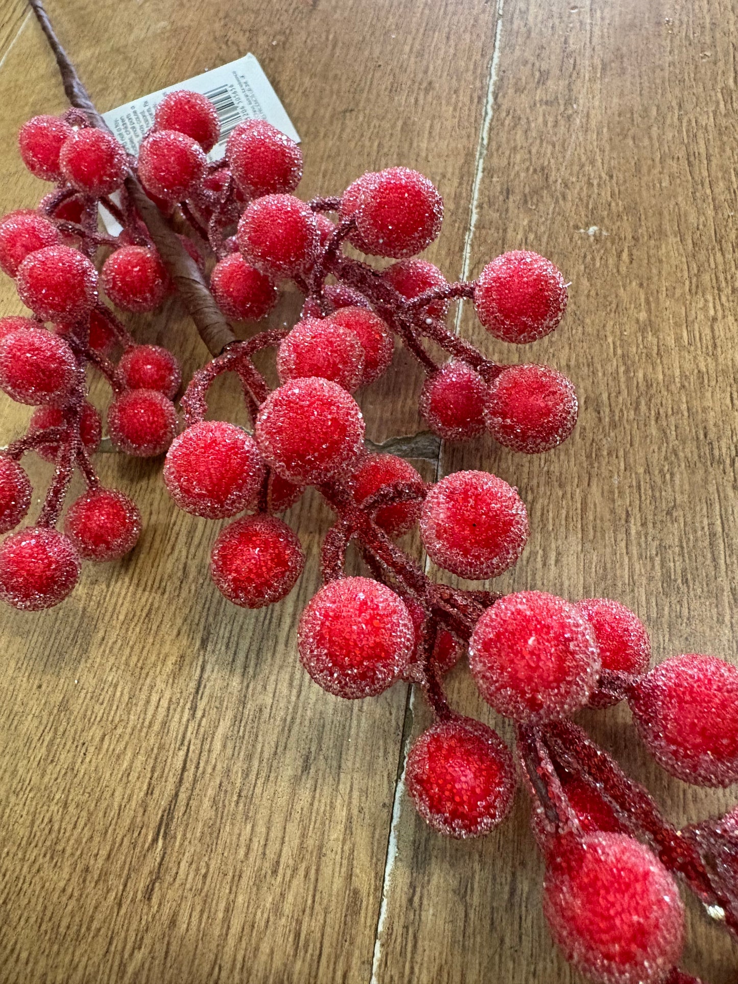 Medium length frosted red berry stem
