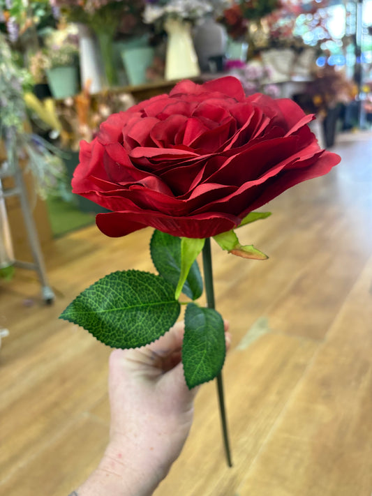 Mediums length red Tudor rose