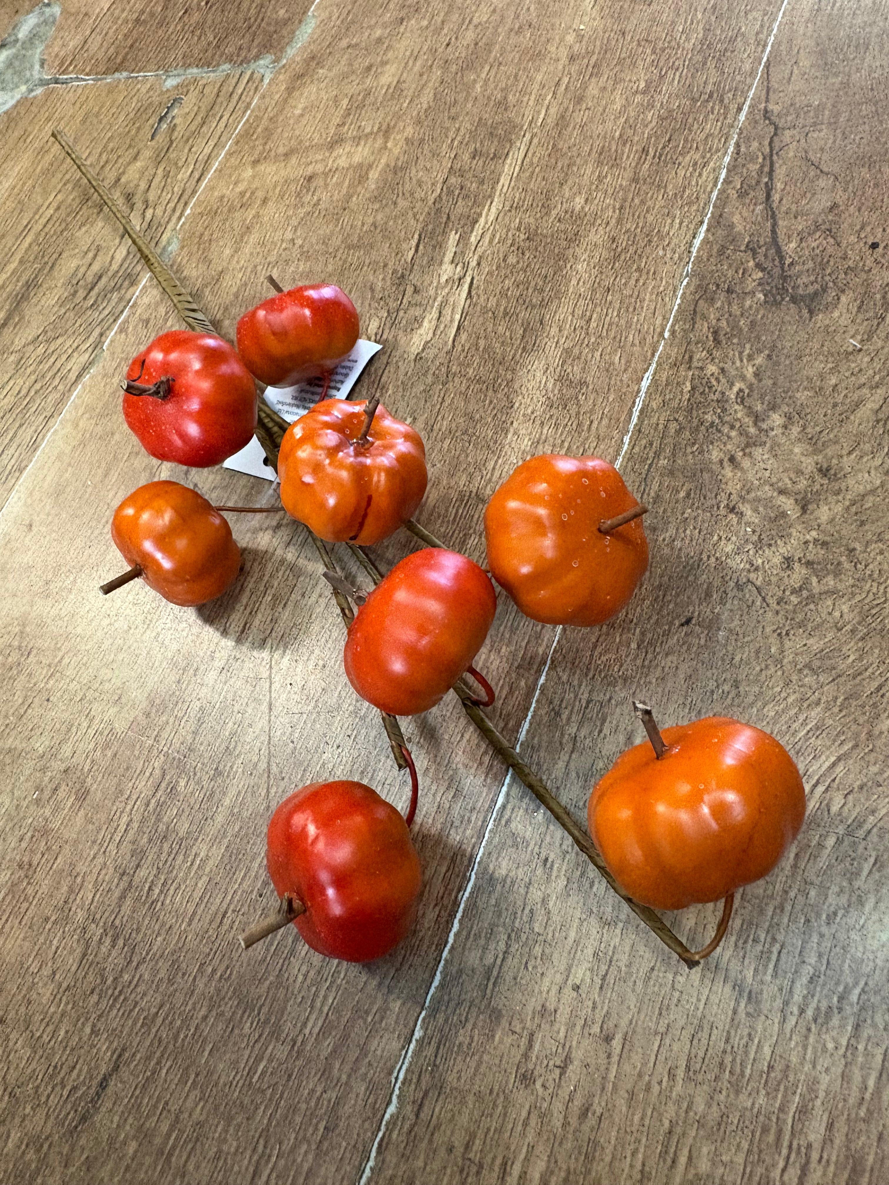 Mini Pumpkin branch
