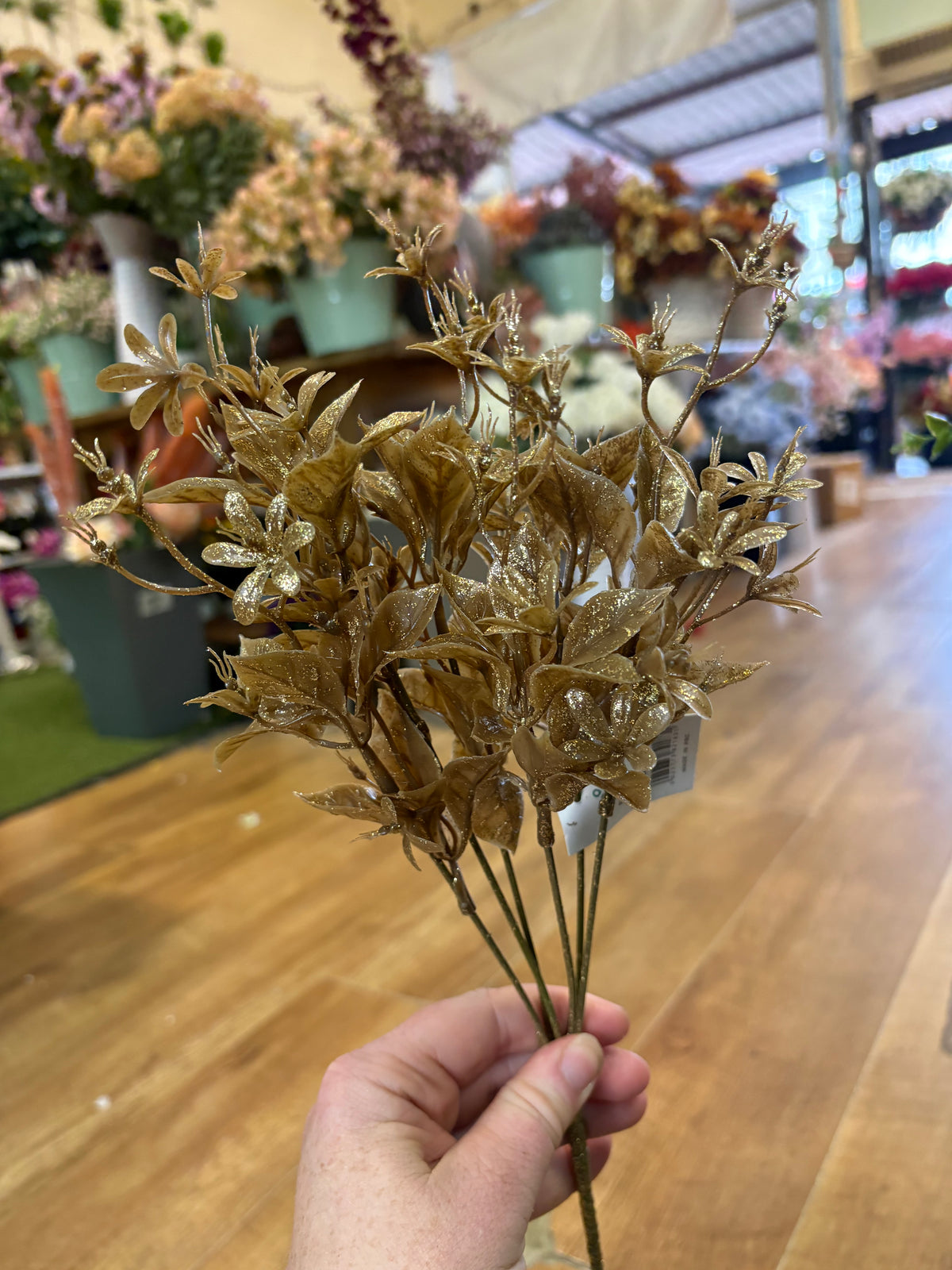 Autumn glitter foliage bush - 4 colours available