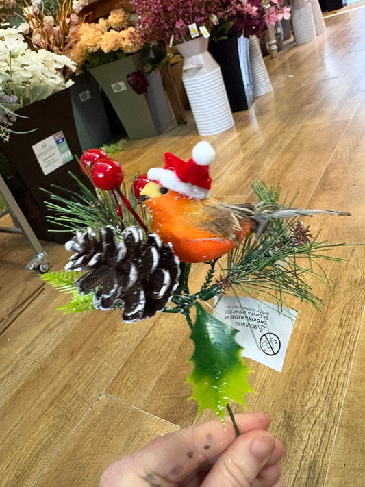 Robin in a Santa hat pick