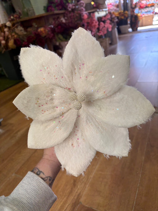 Fluffy white glittered single poinsettia