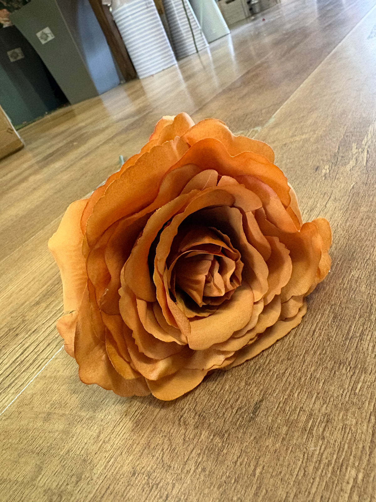 Medium length burnt orange Tudor rose