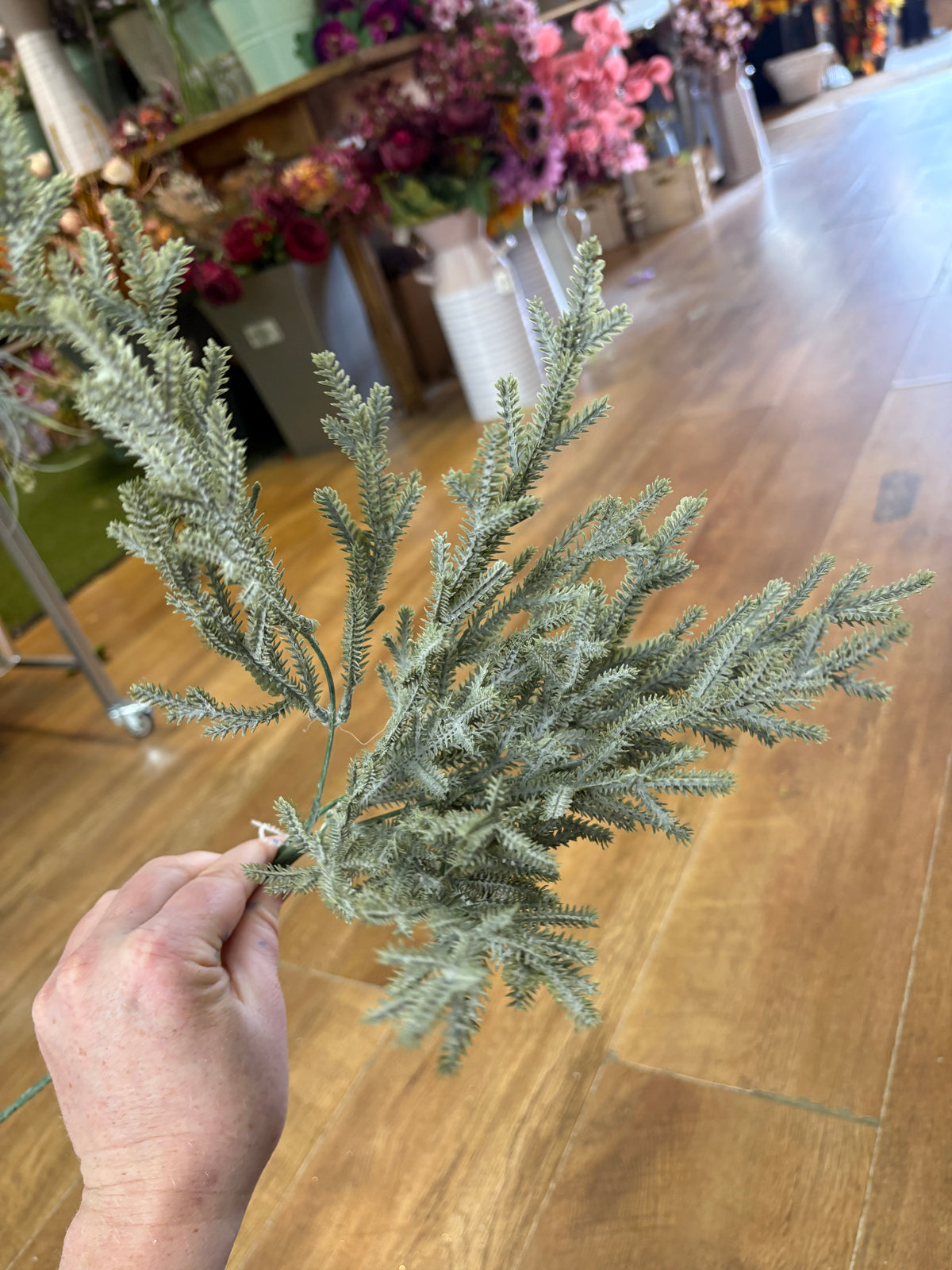 Long stem winter foliage