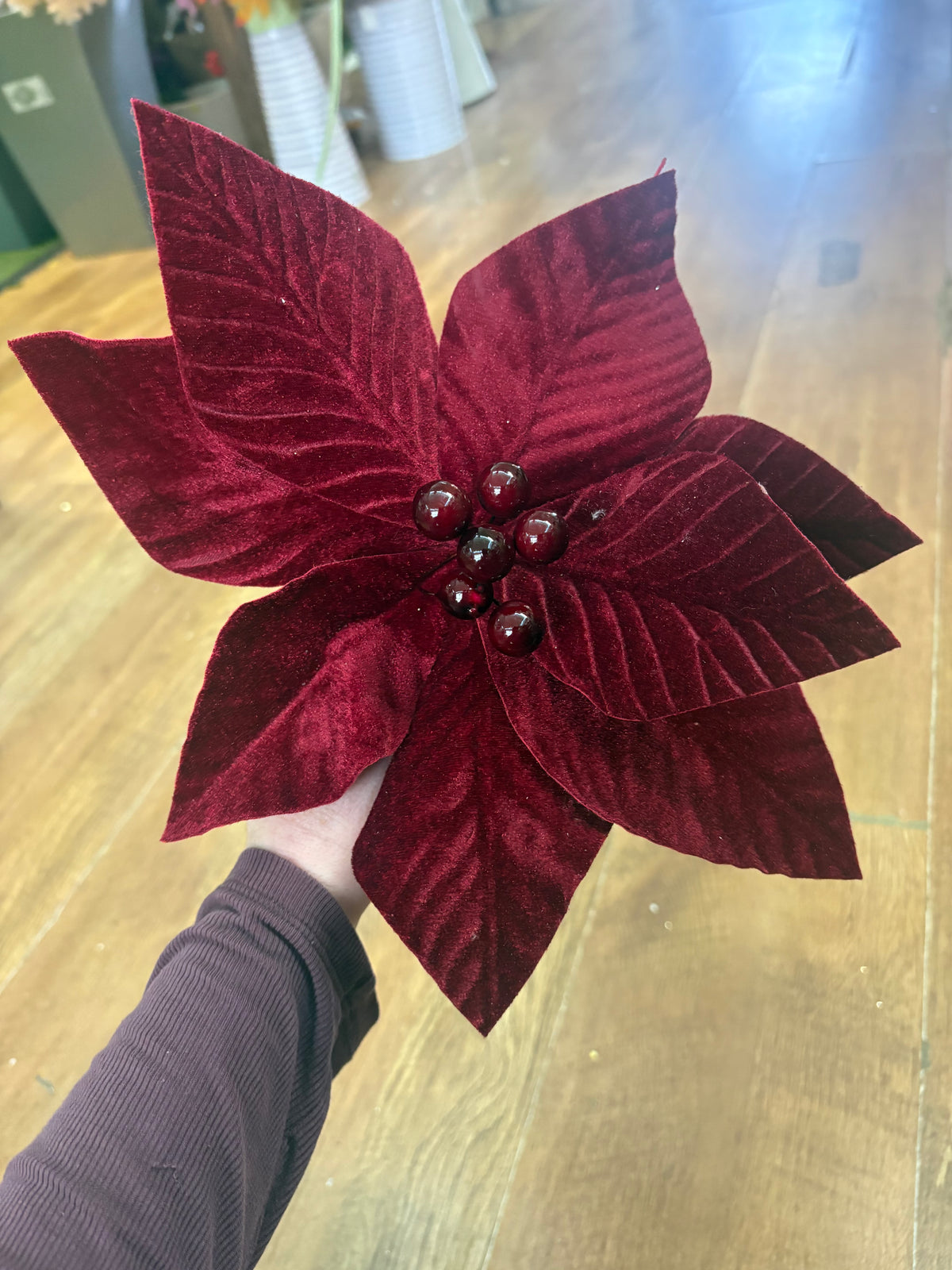 Short stem burgundy velvet poinsettia