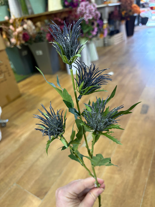 Long stem blue jagged thistle spray