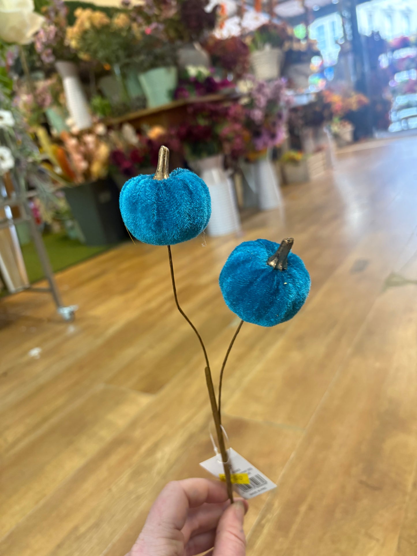 Teal velvet pumpkin stem