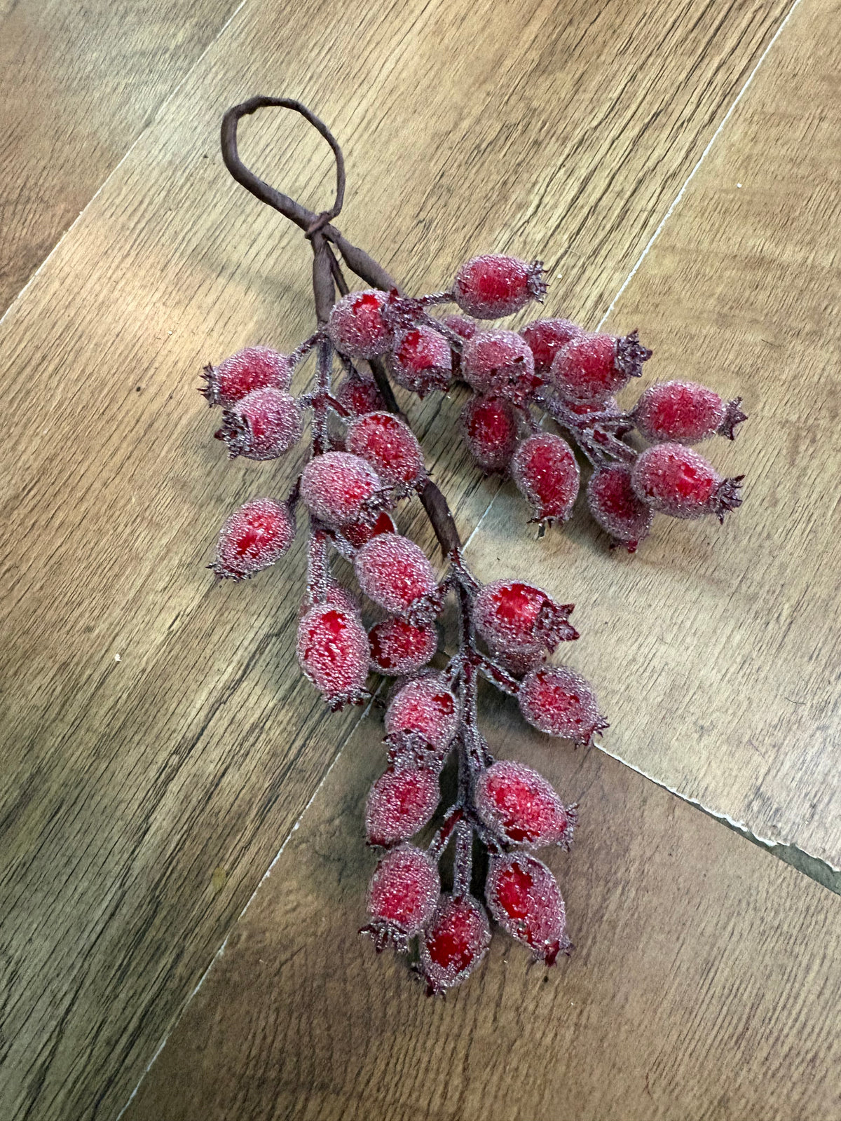 24cm frosted rose hip swag