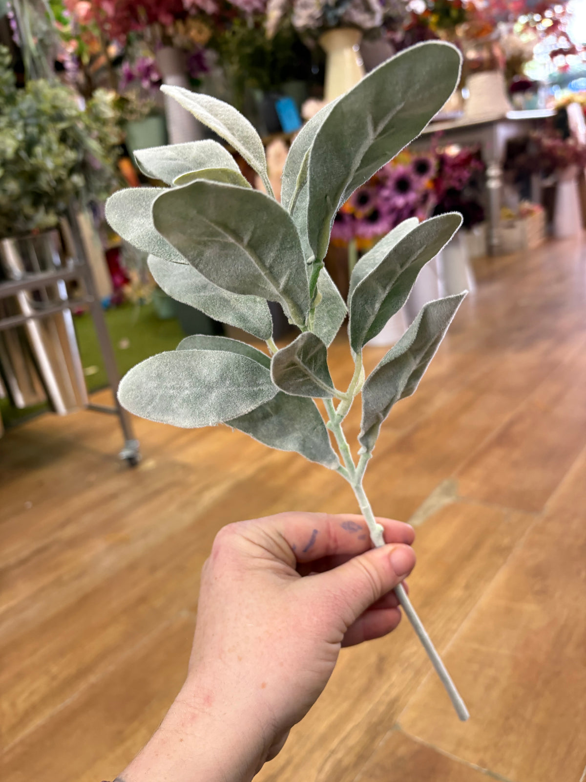 Green lambs ear pick