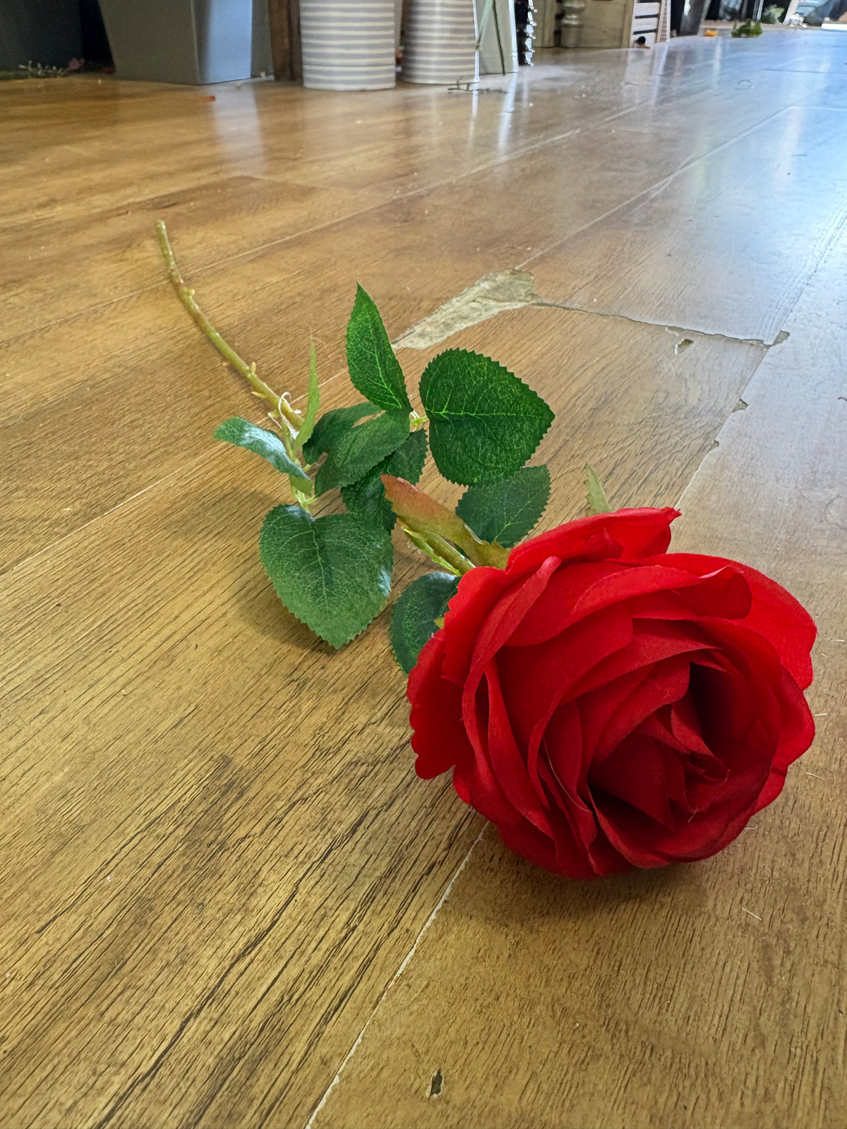Single red harper rose