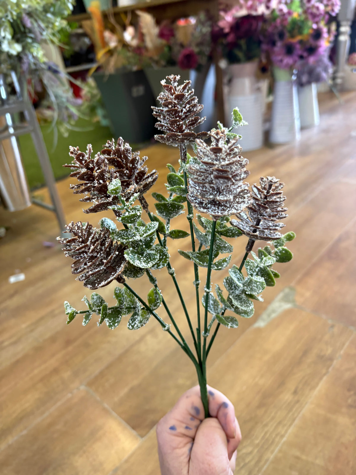 Snowy cones and eucalyptus bunch