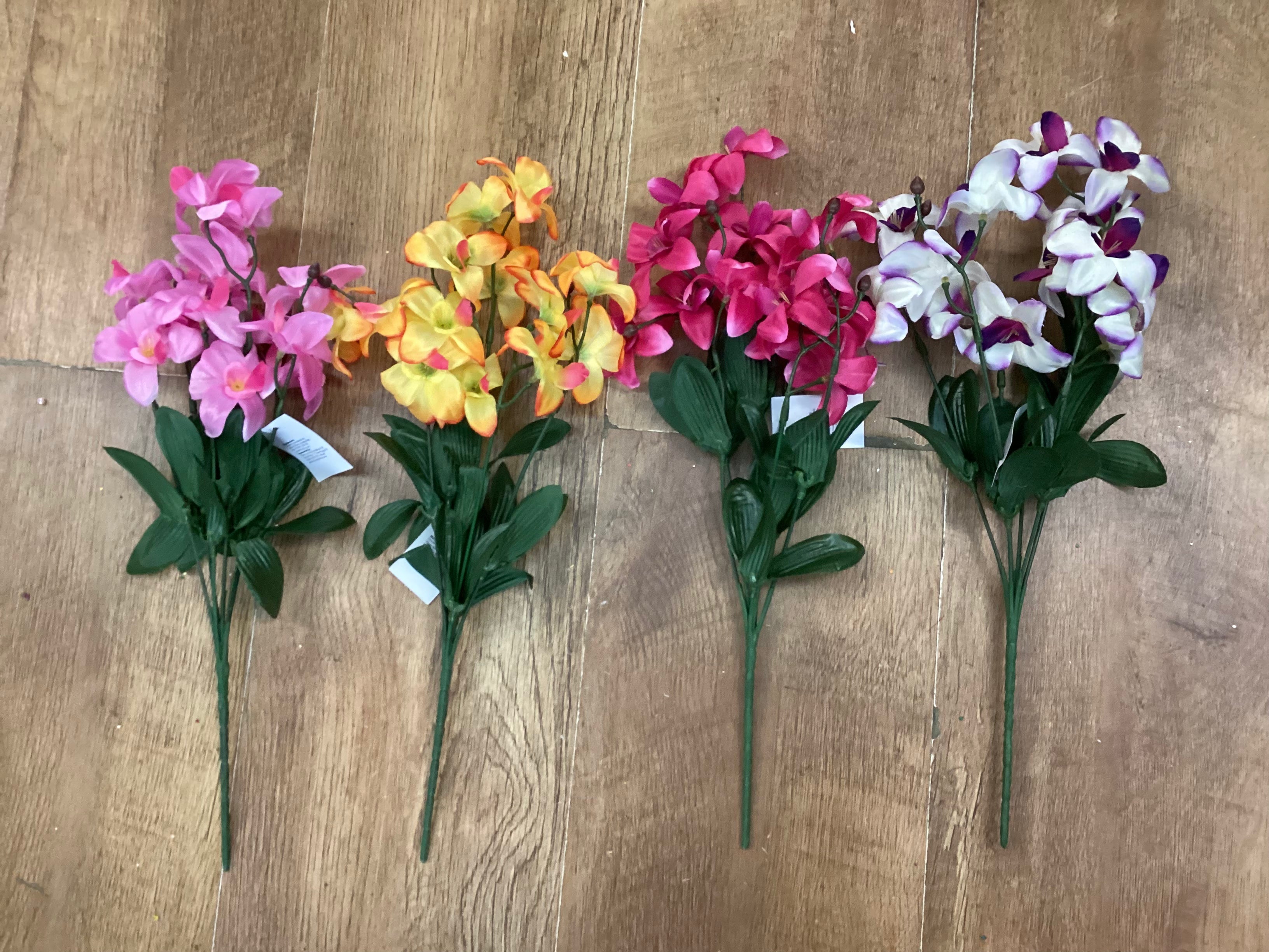Dover orchid bush - 4 colours available