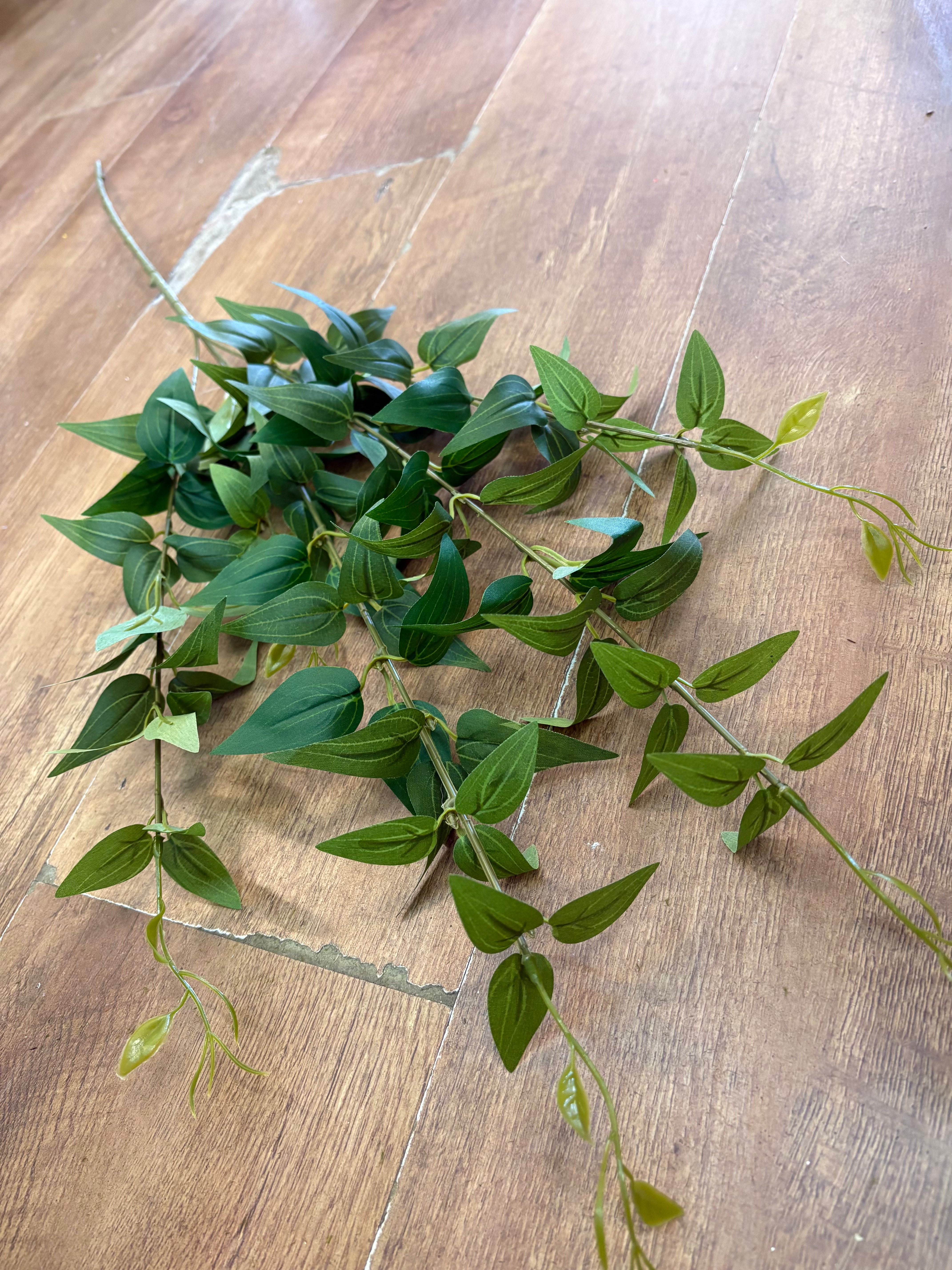 Long stem deep green italian ruscus spray