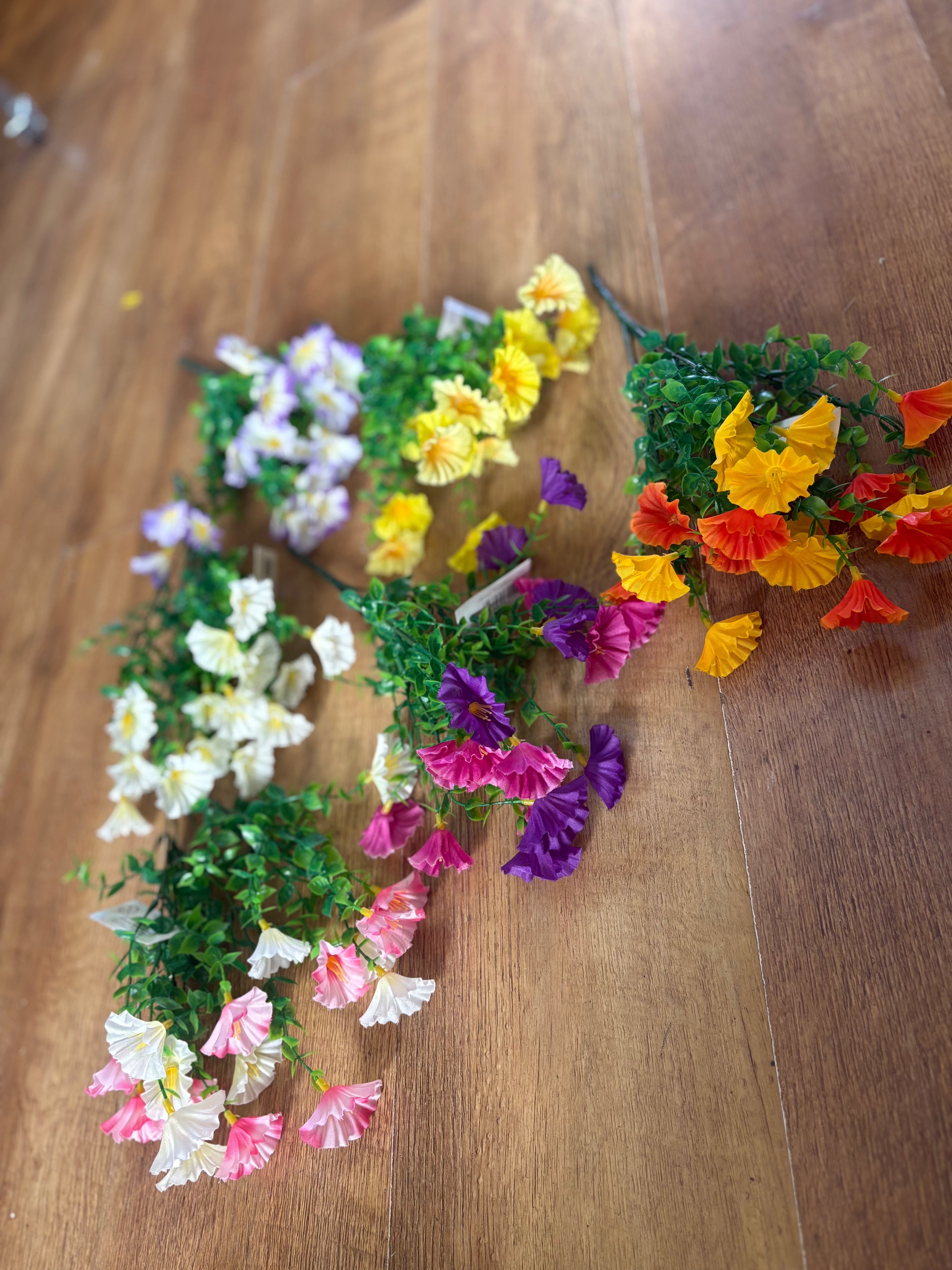 Petunia bunch - 6 colours available