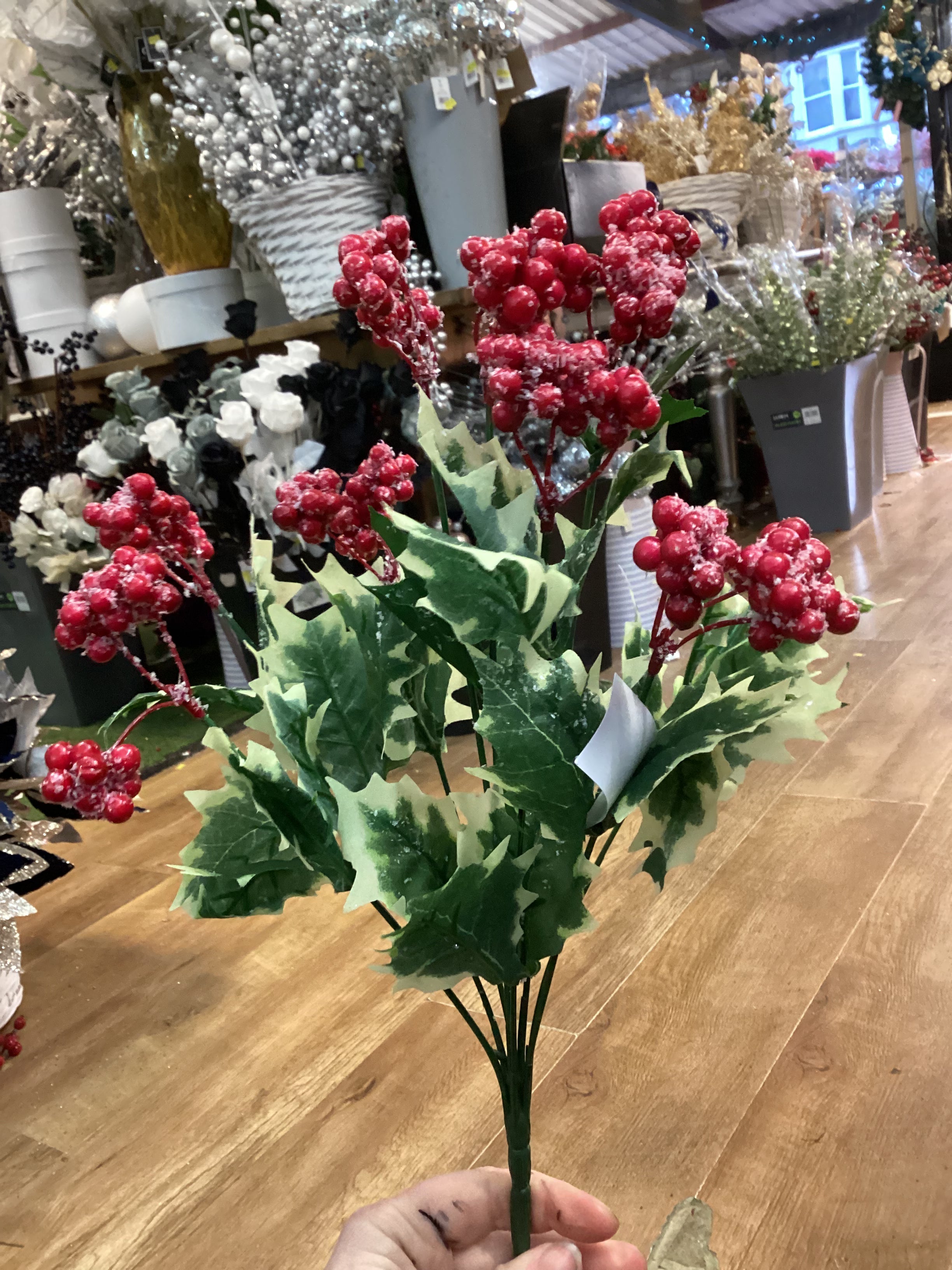 Large frosted Holly bunch