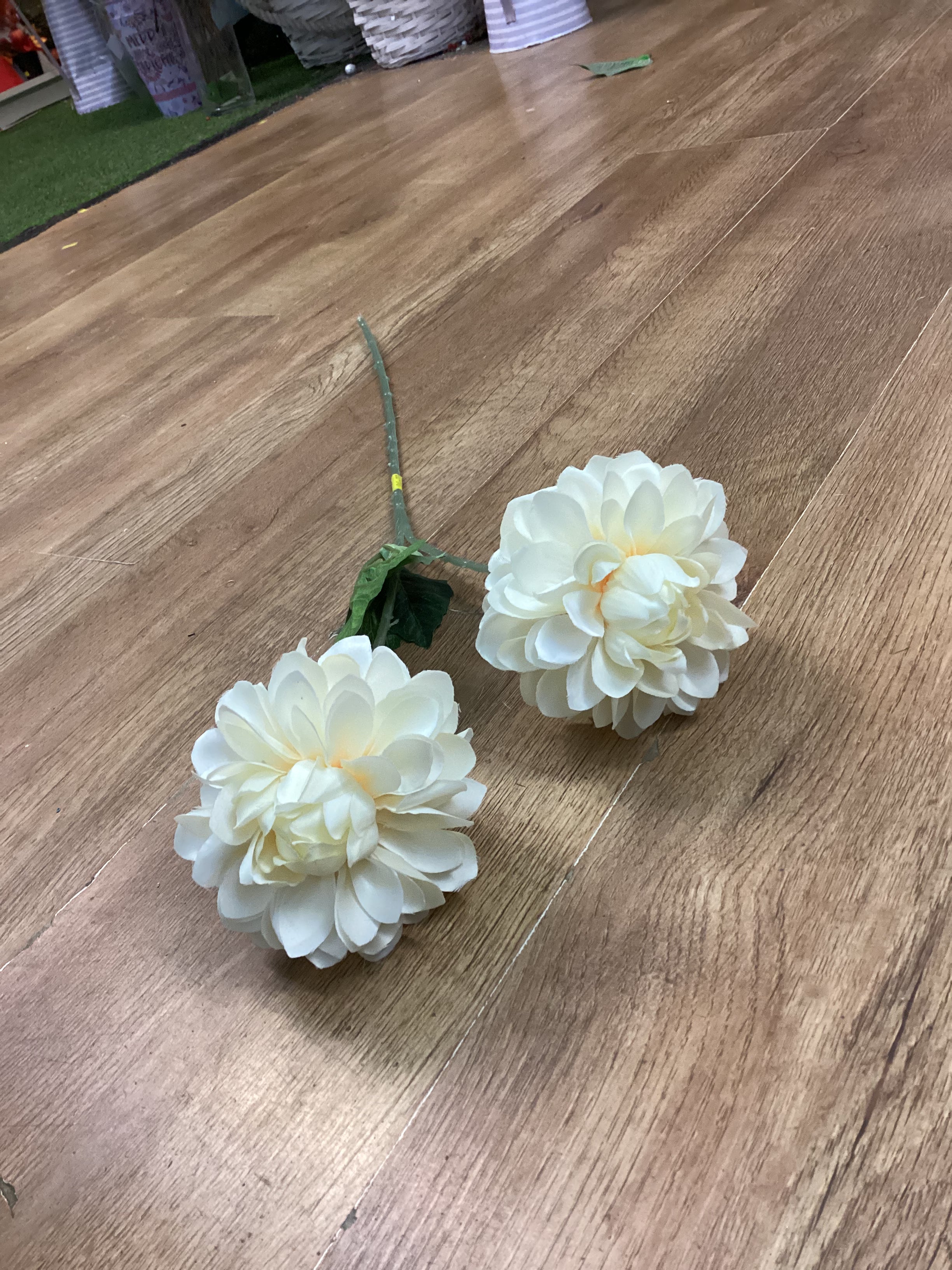 Long stem palest lemon two headed dahlia spray