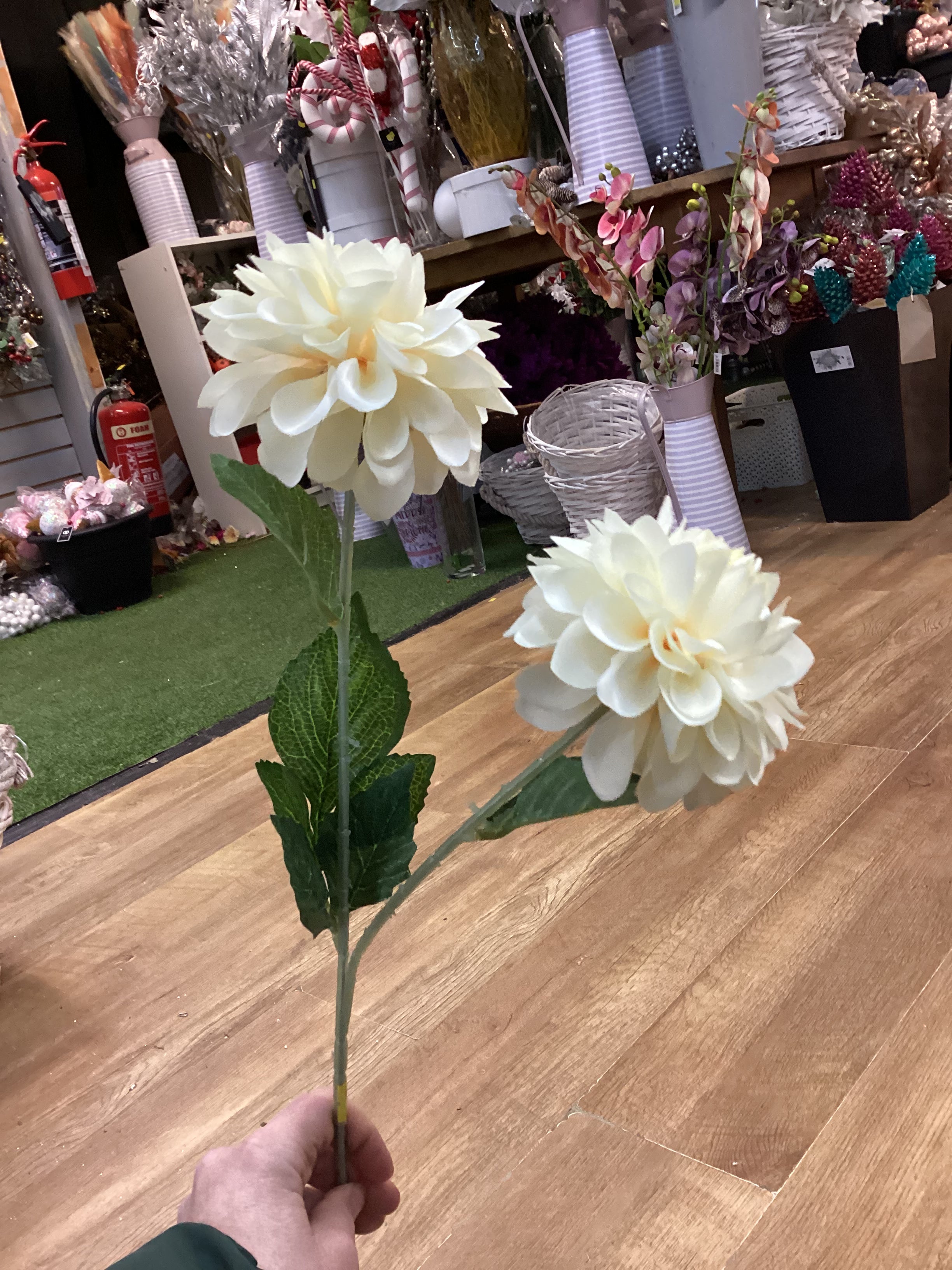 Long stem palest lemon two headed dahlia spray