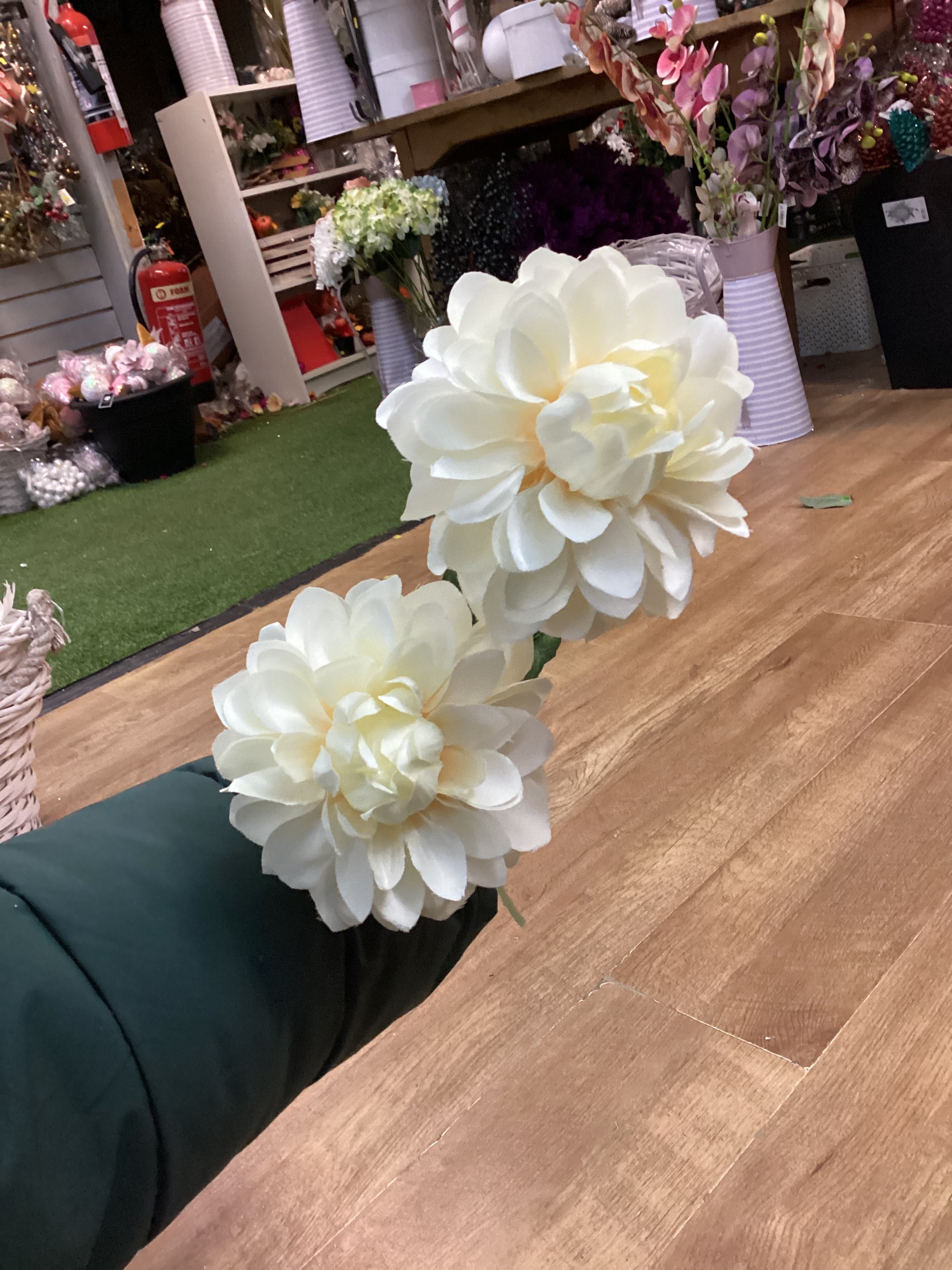 Long stem palest lemon two headed dahlia spray