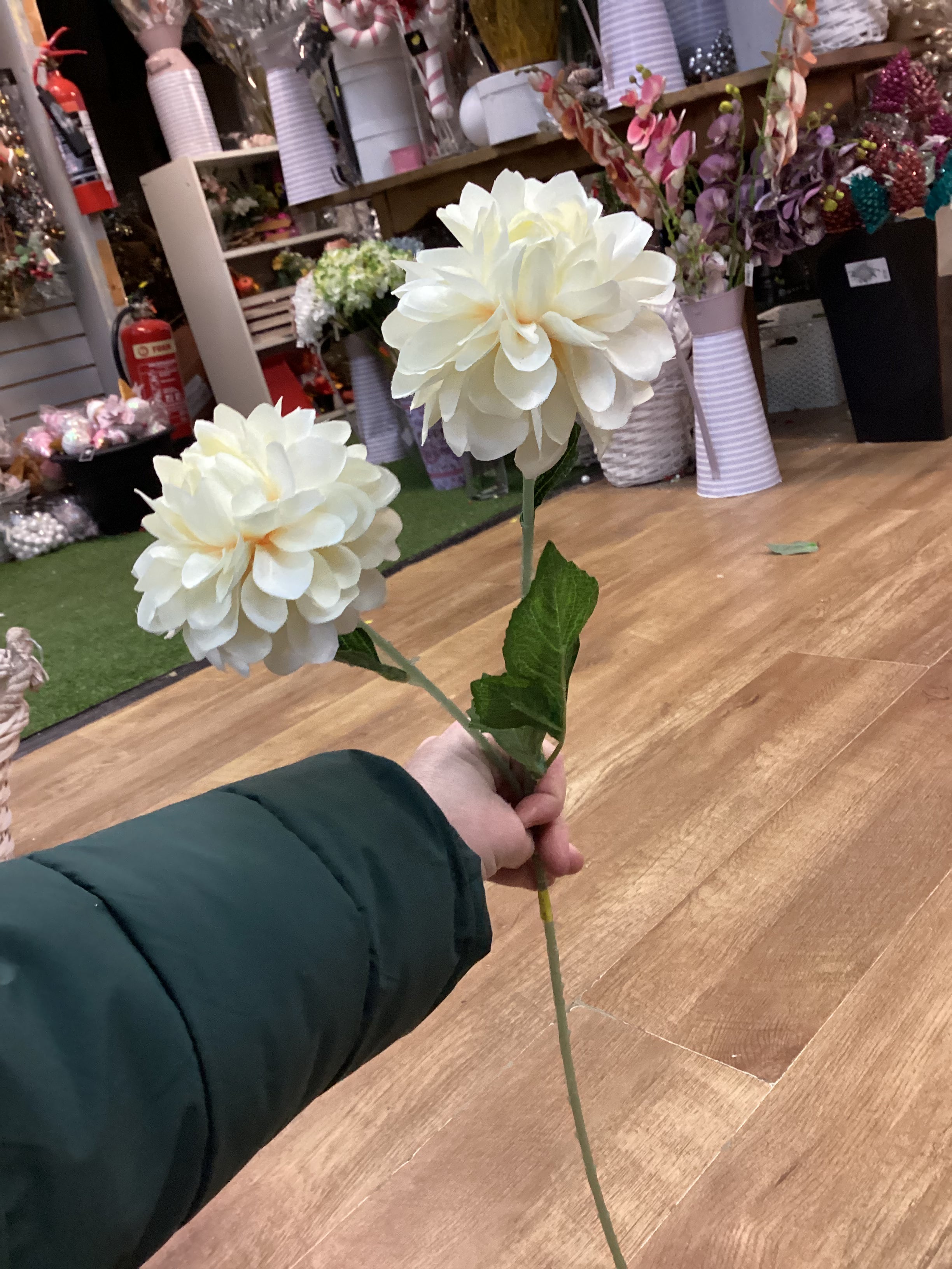 Long stem palest lemon two headed dahlia spray