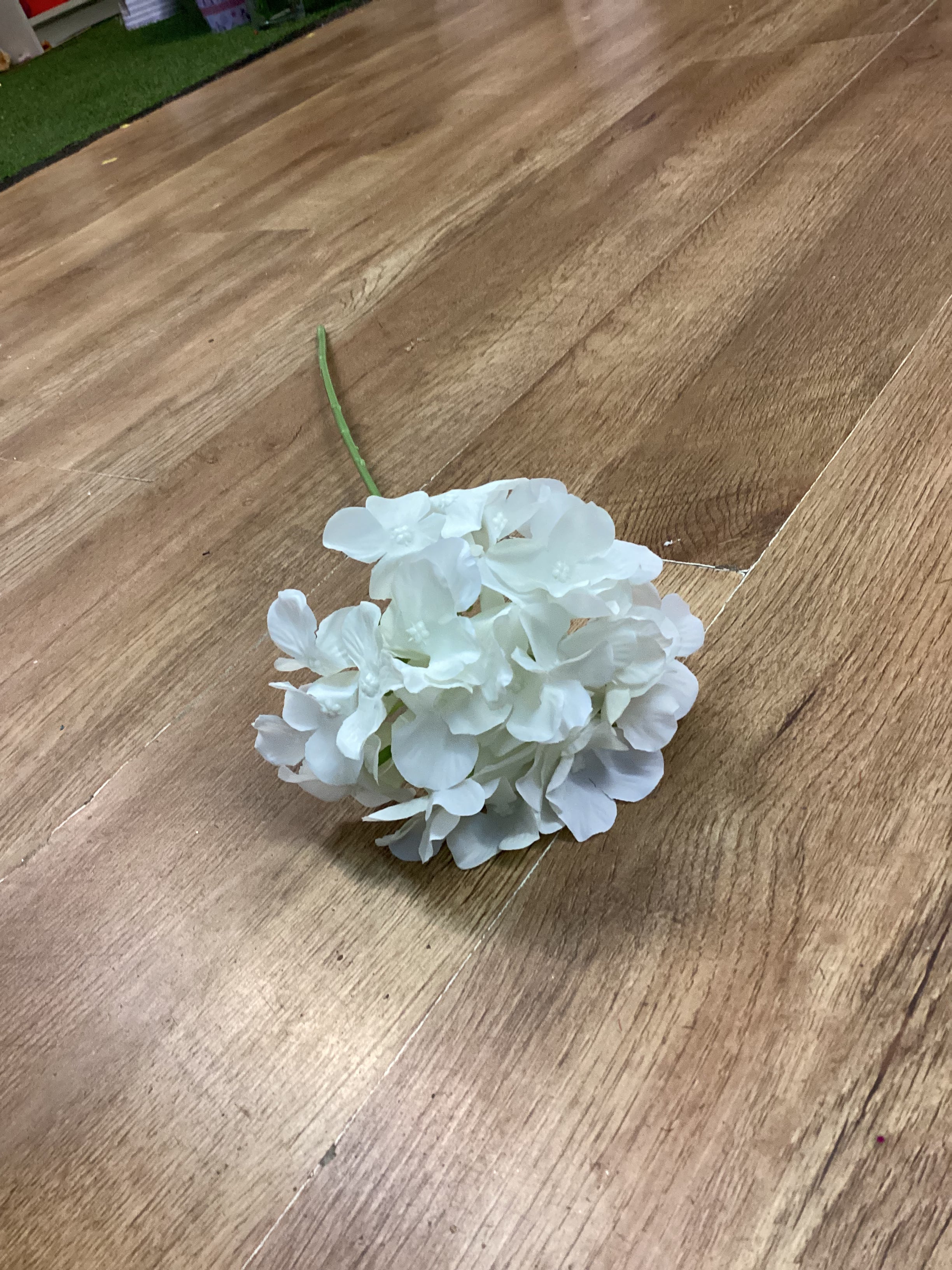 Long stem ivory hydrangea